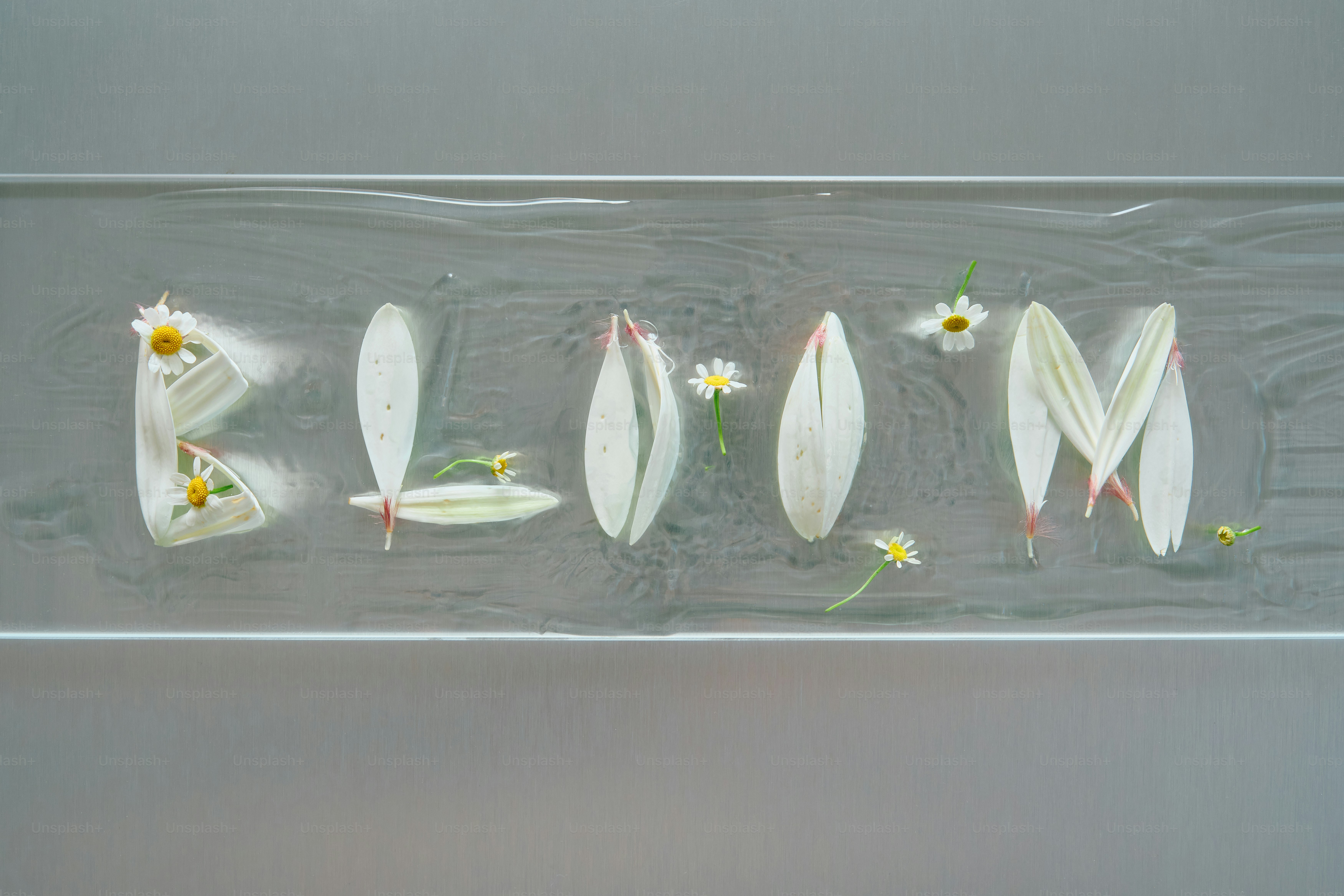 The word bloom spelled with petals and flowers.