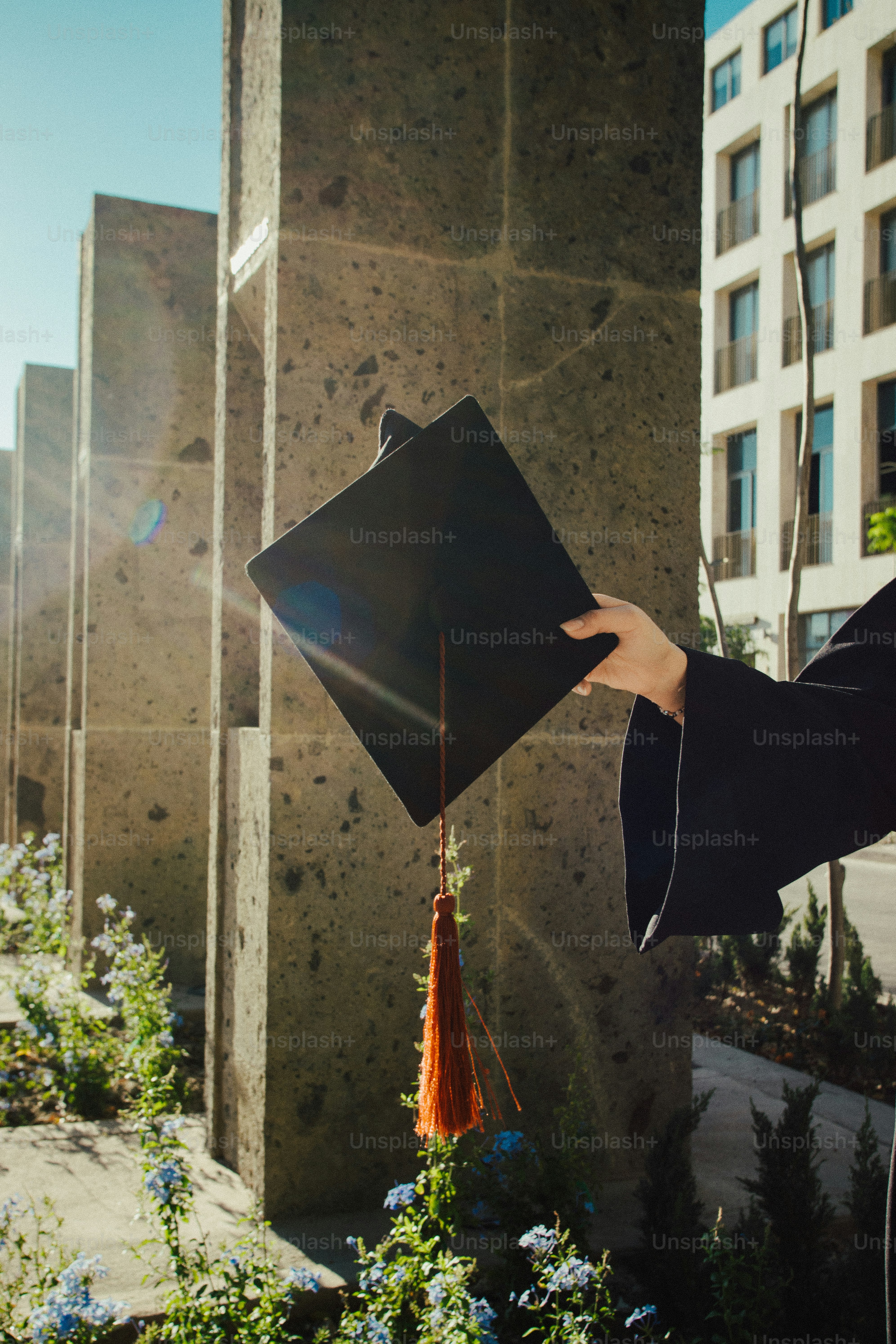 Graduation cap tossed in the air against blue sky photo – Education ...