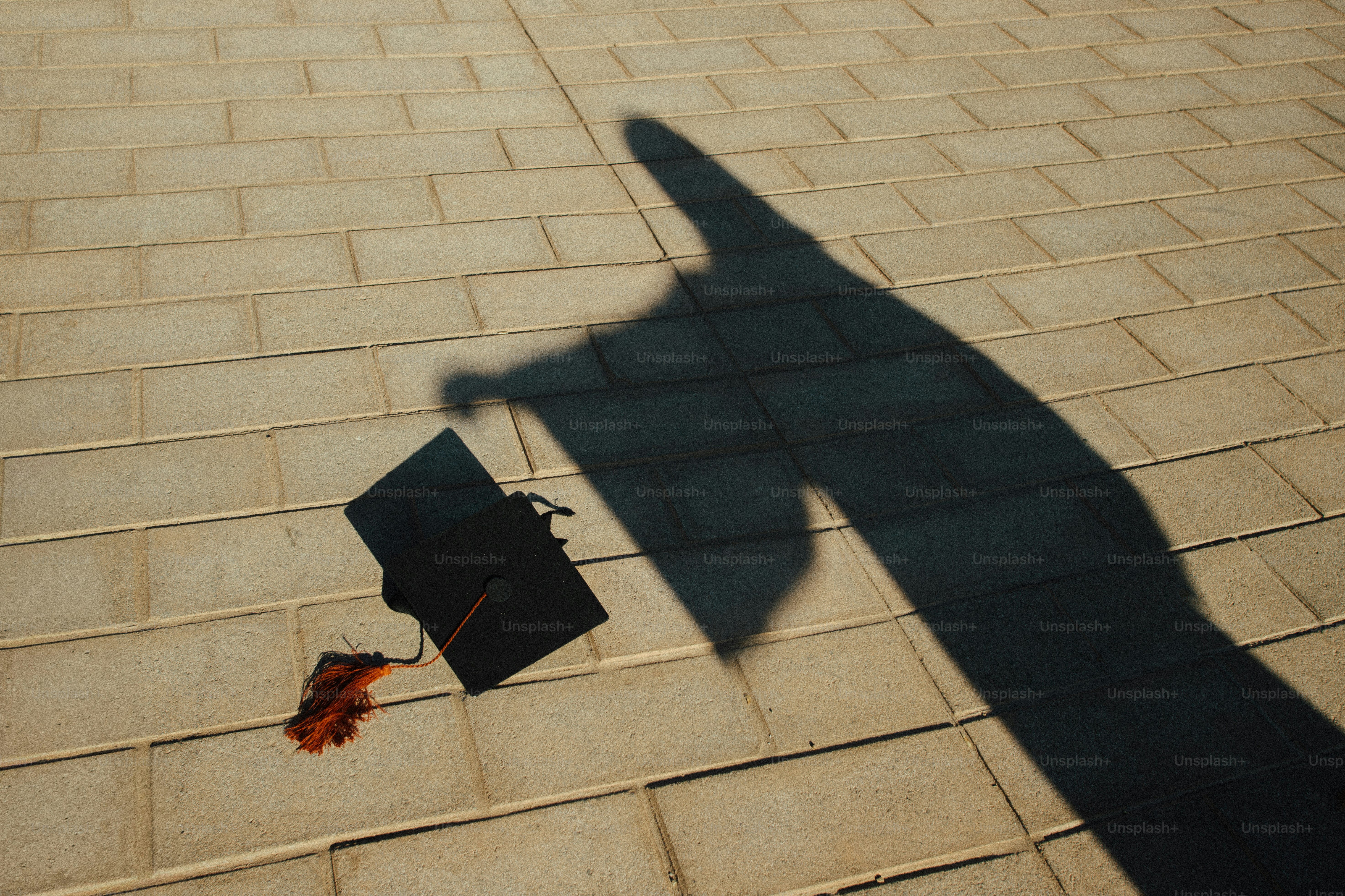 A person in graduation robes holding a cap photo – Education Image on ...