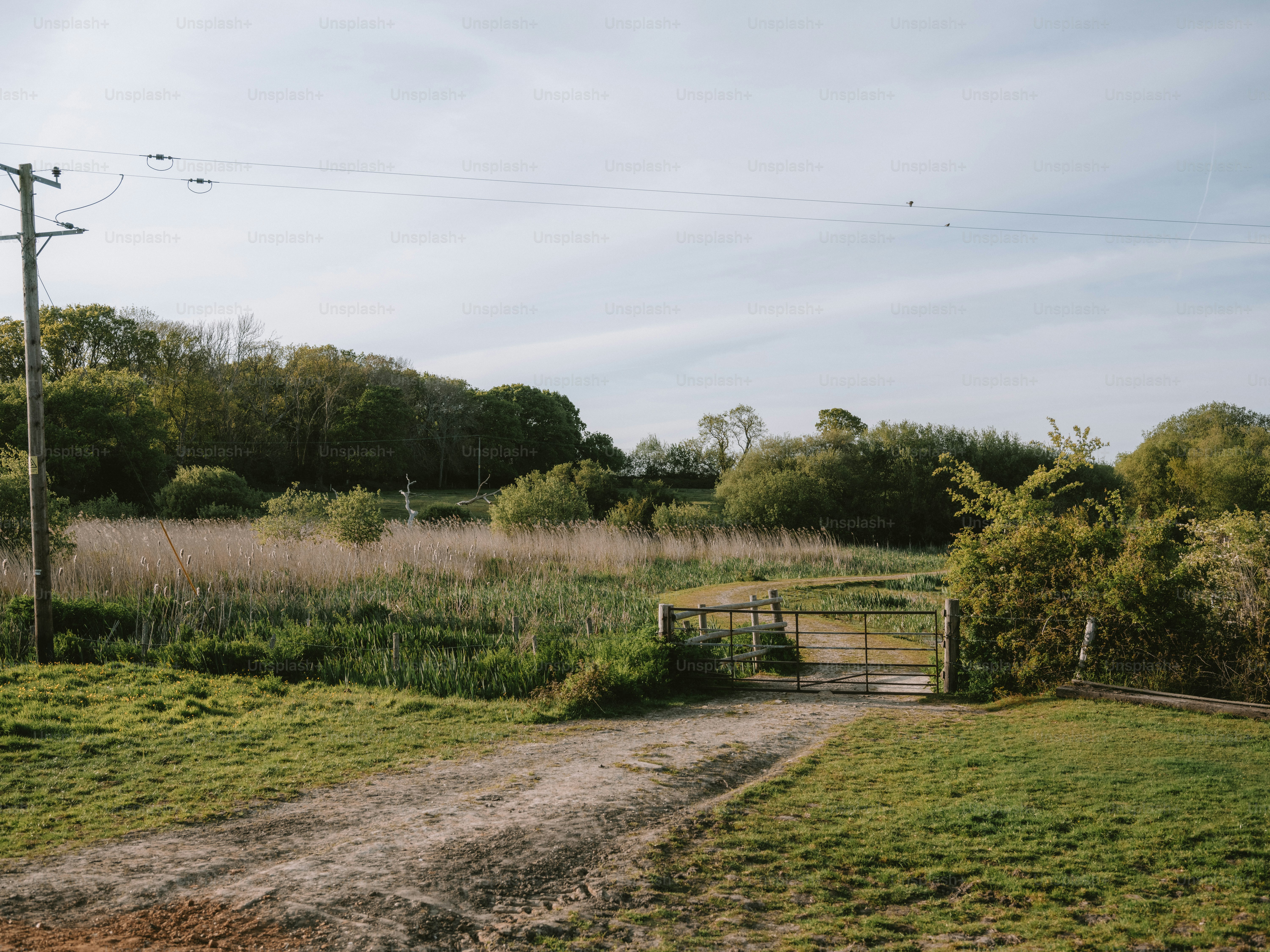 Dirt path leads to a metal gate in a field