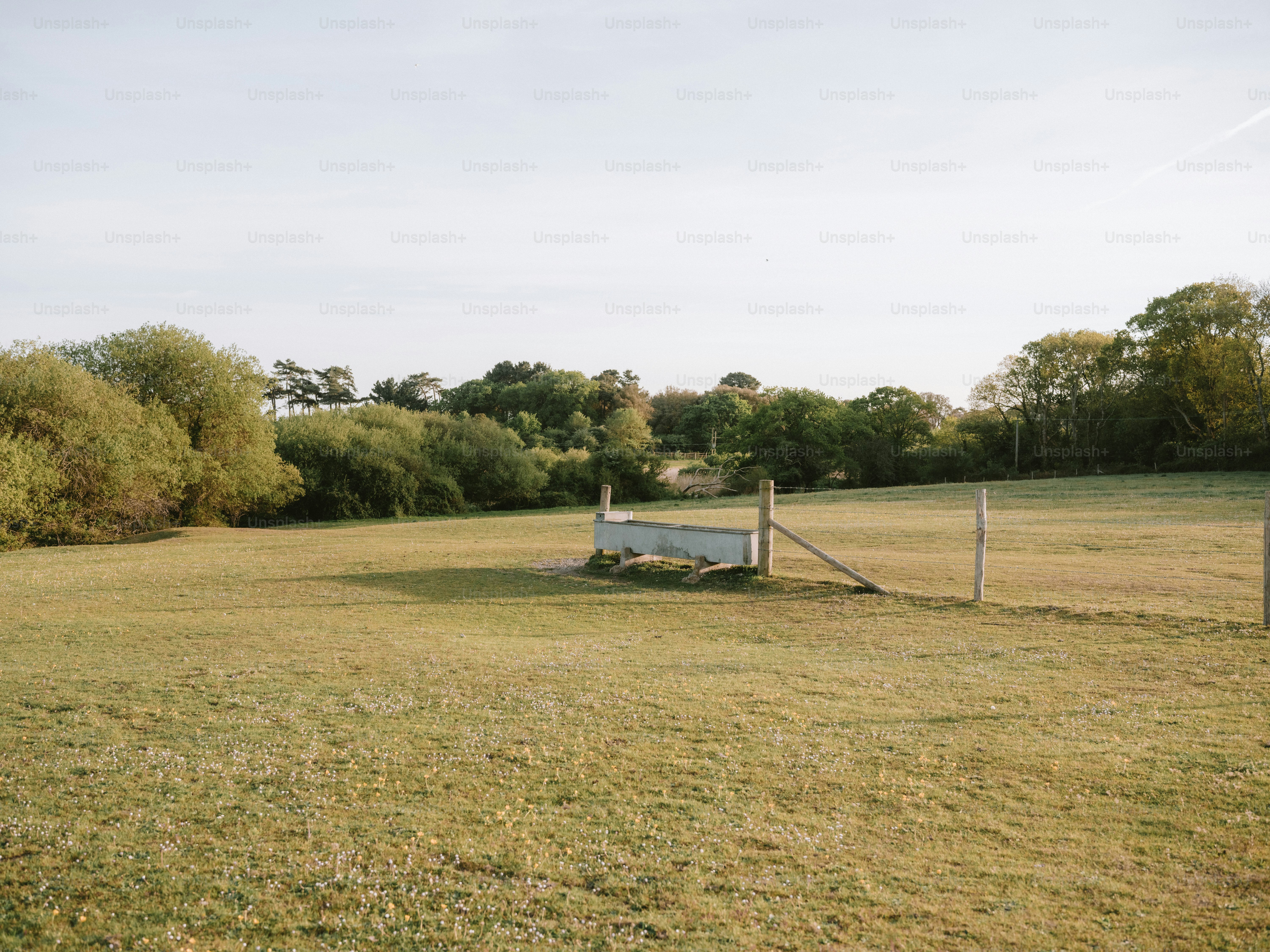A grassy field with a jump and trees in background.