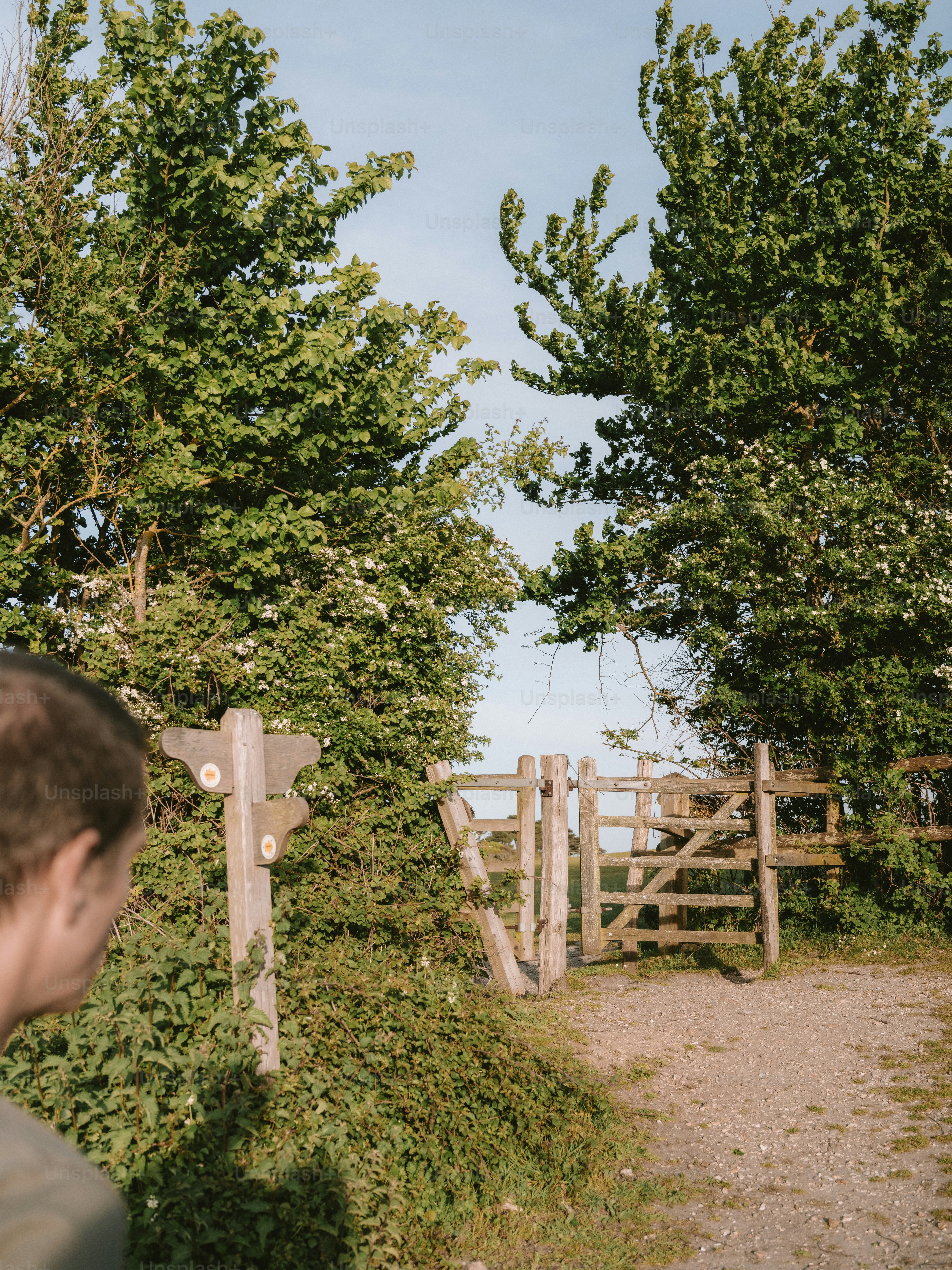 Wooden gate and signpost on a path