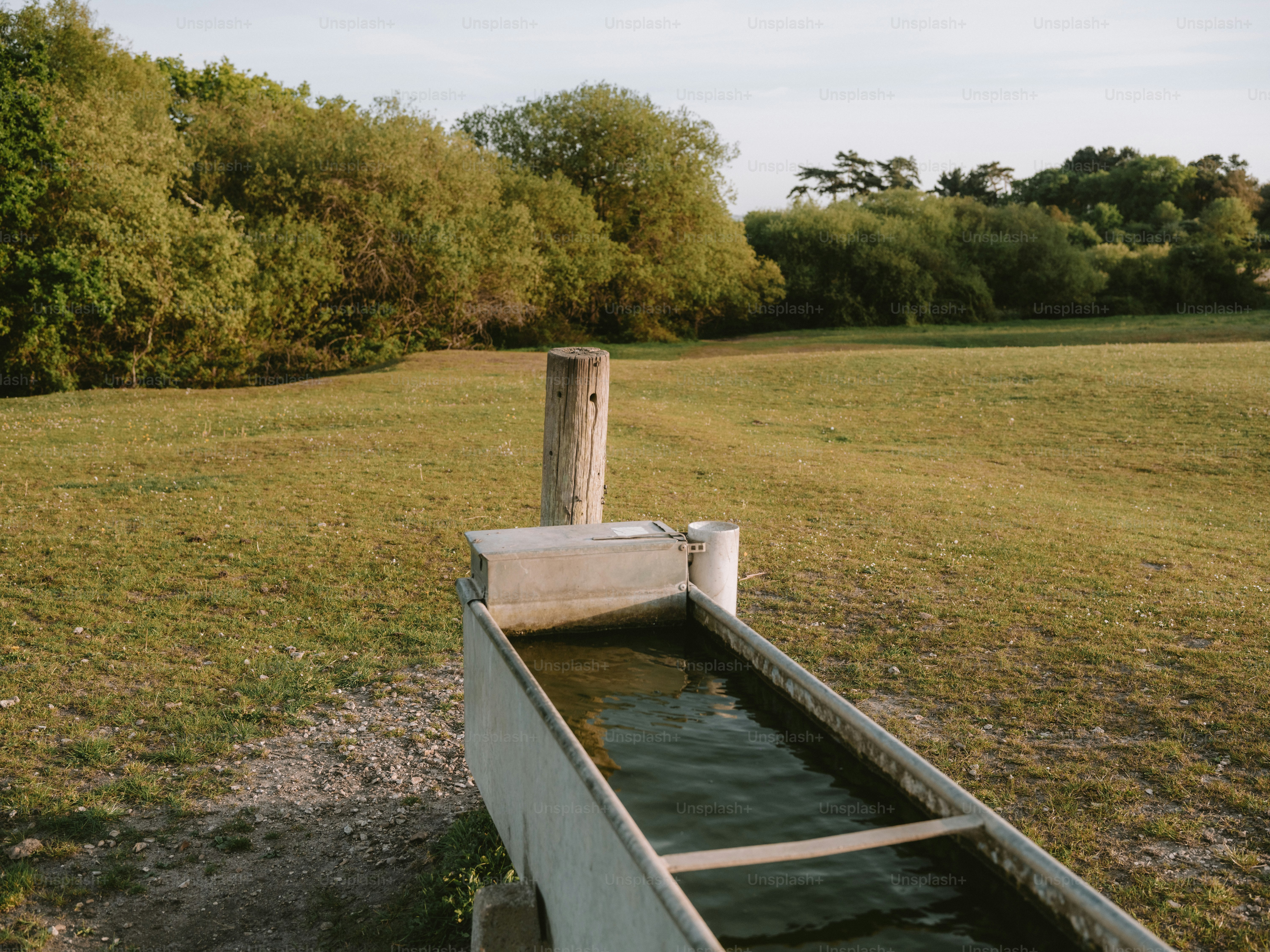 Concrete trough filled with water in grassy field