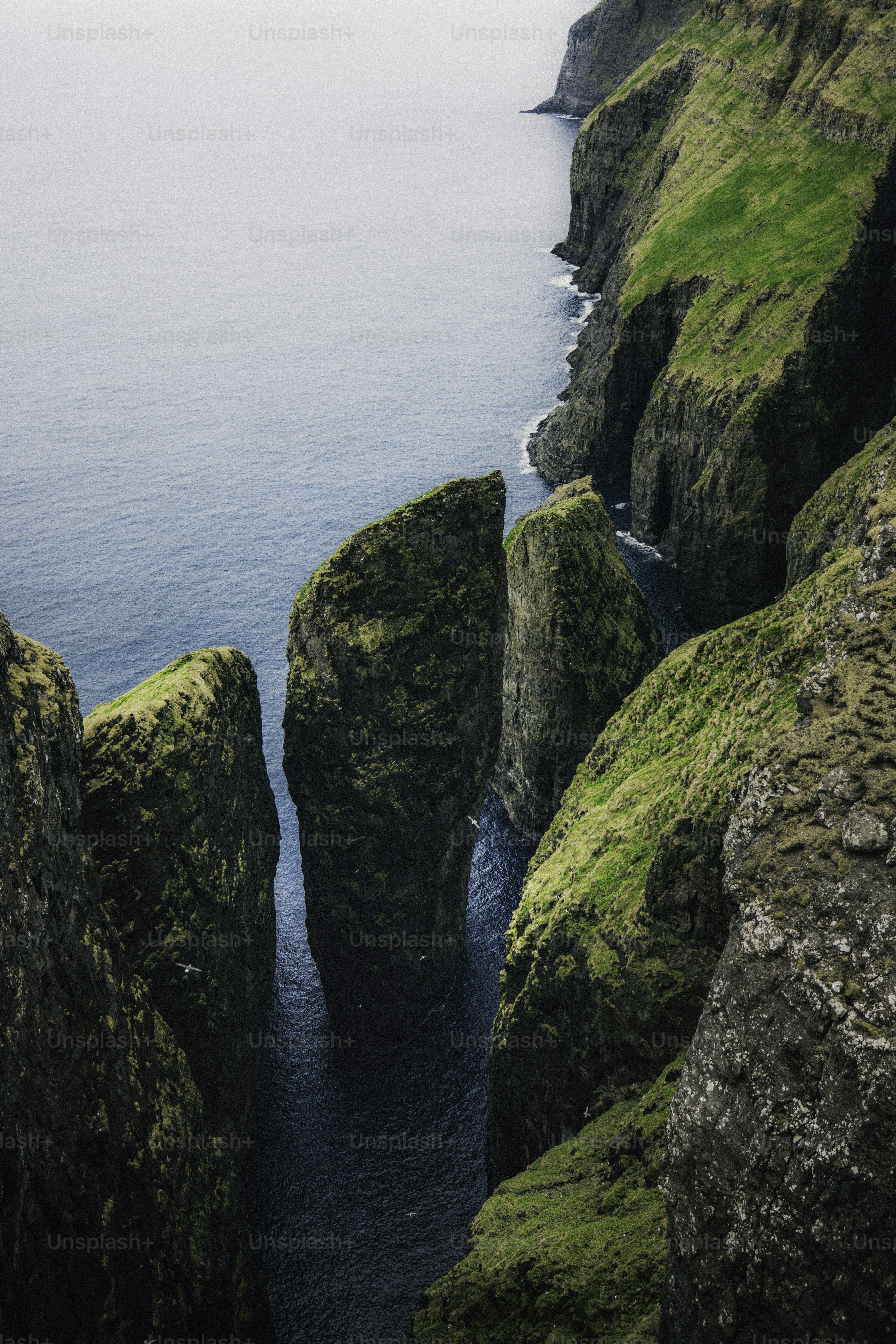 Falaises vertes et escarpées rencontrant un bras d’eau bleu profond.