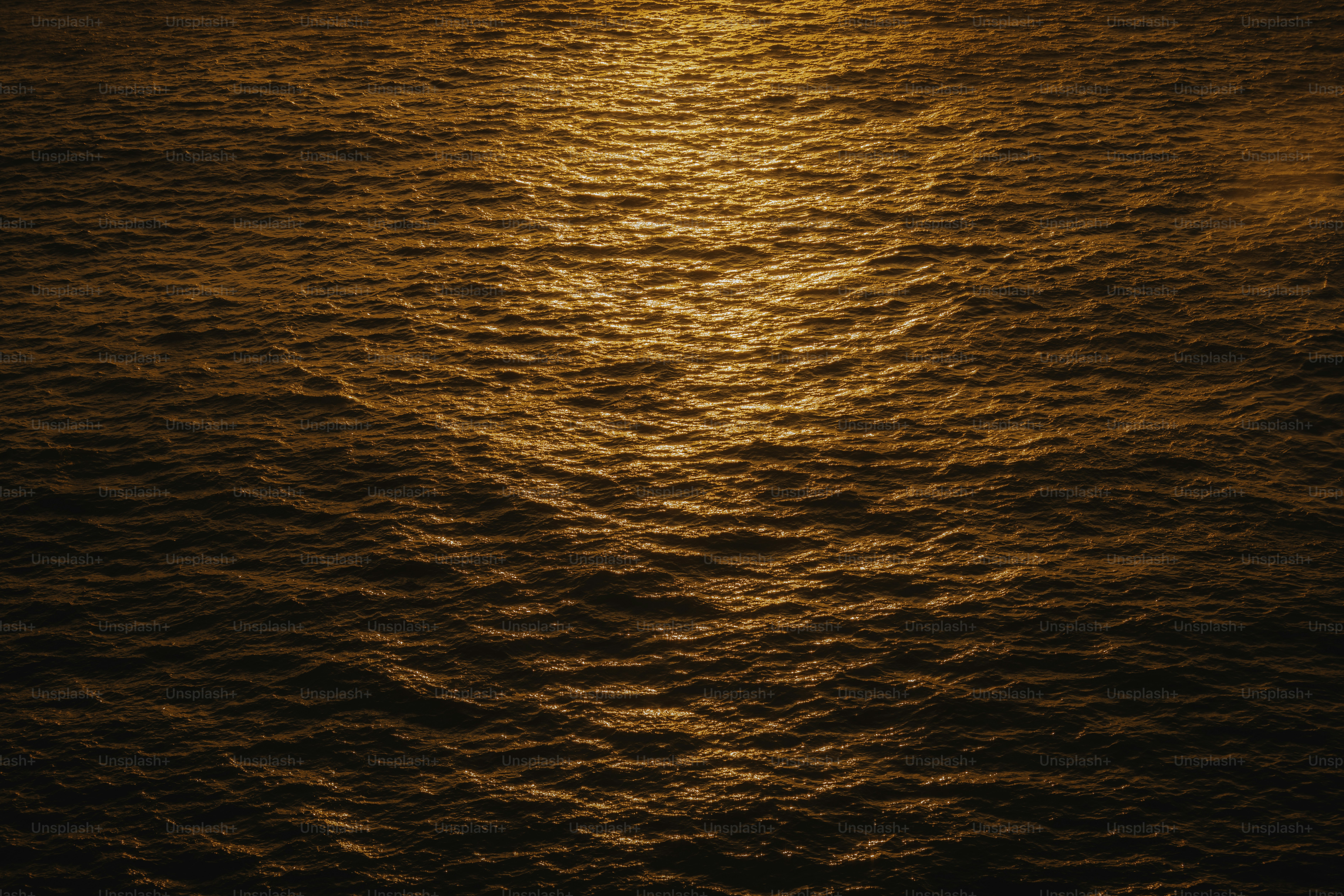 Golden sunlight reflects on ocean waves at sunset.