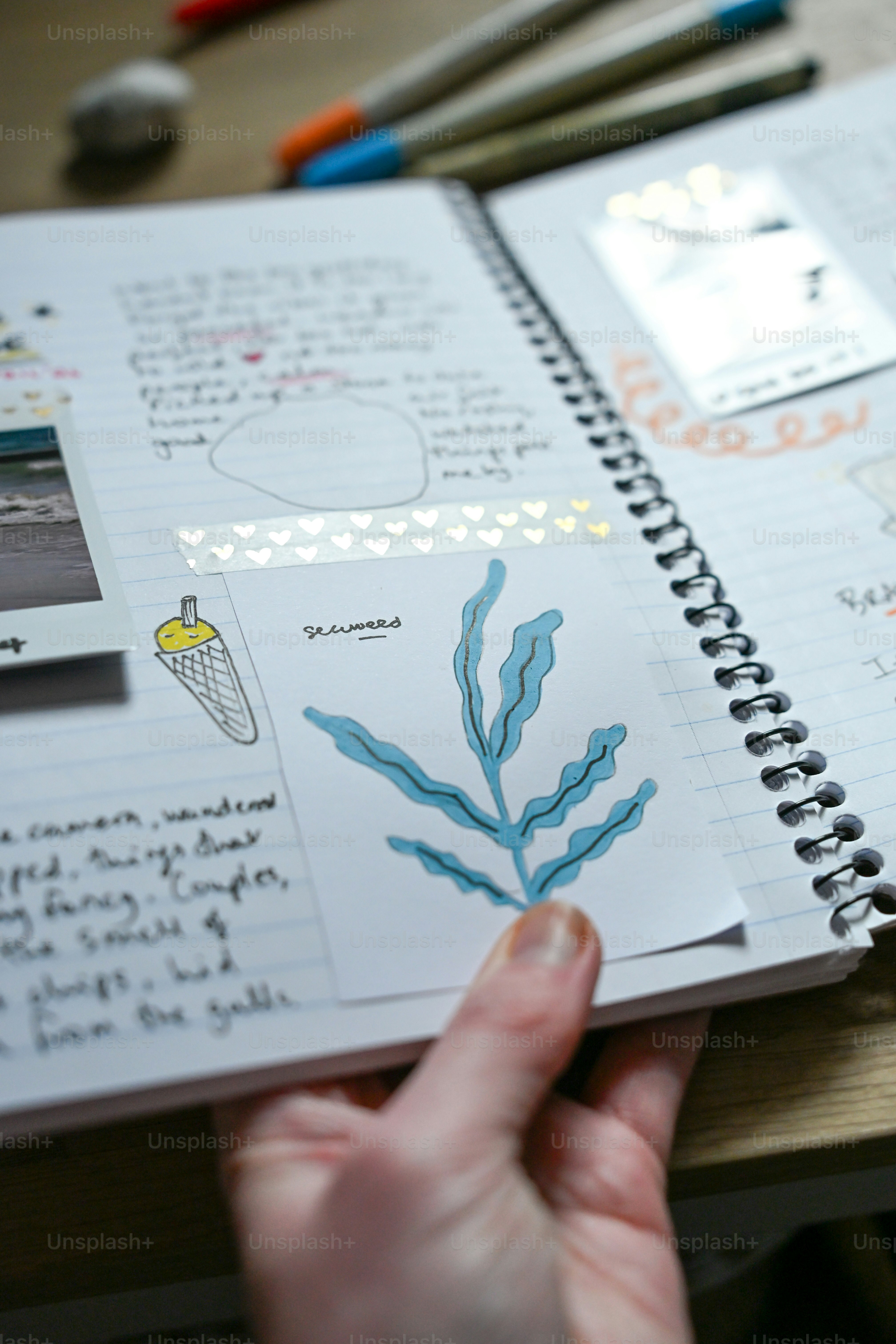 Hand holding a journal with drawings and notes.