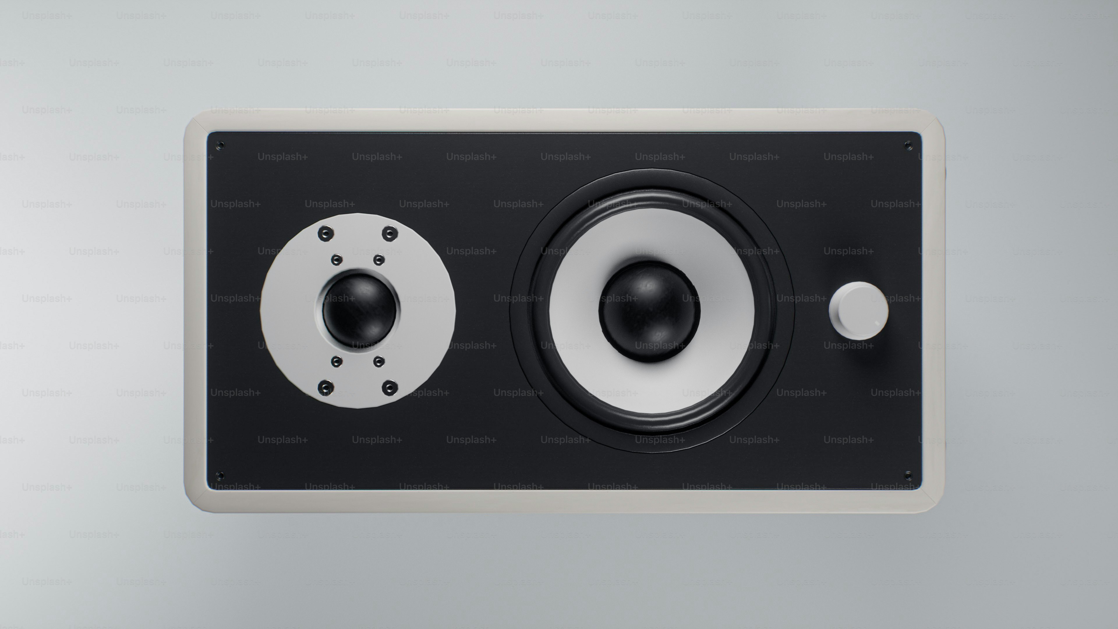 A modern black and white speaker with two drivers.