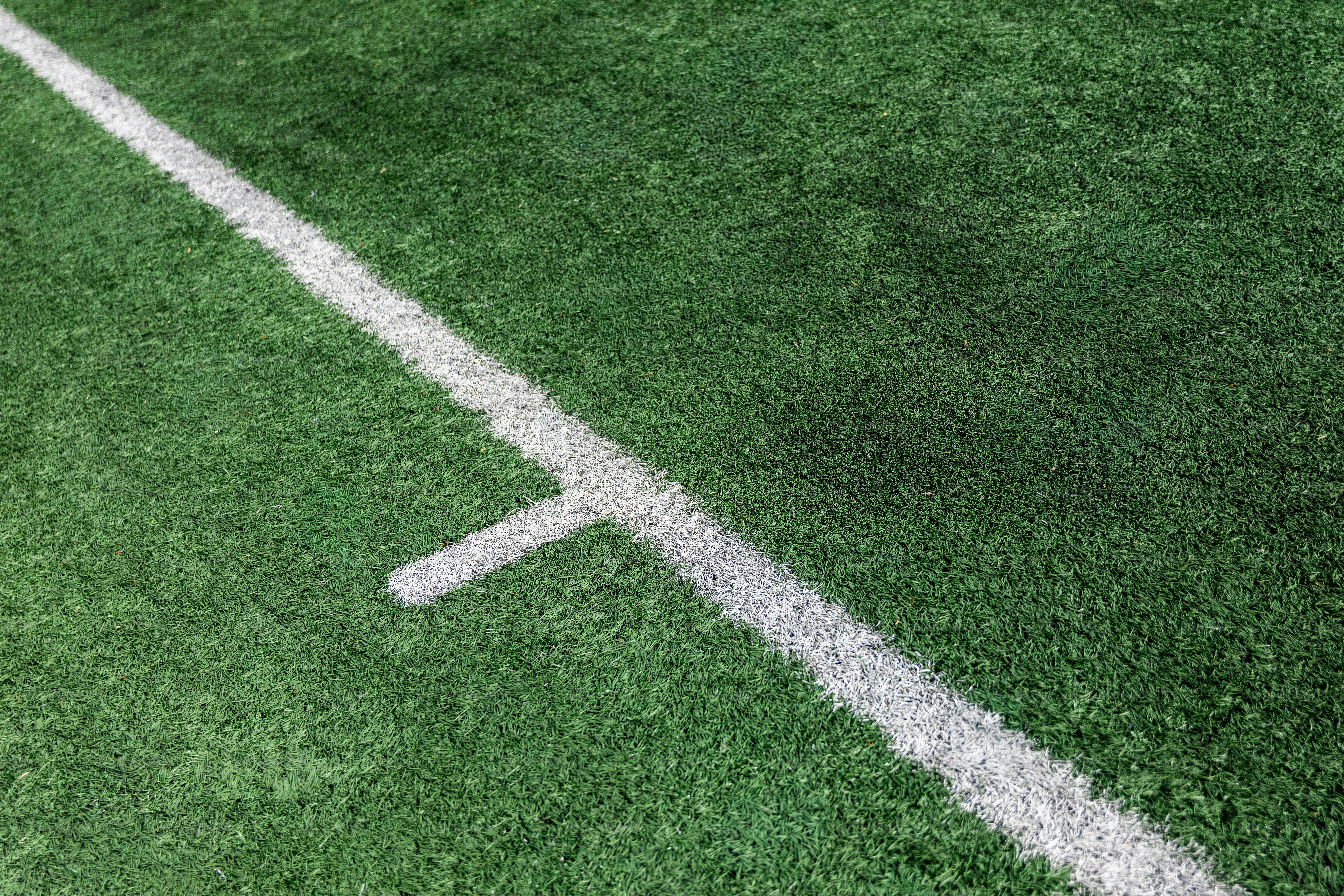 Weiße Linie auf dem grünen Sportfeld.