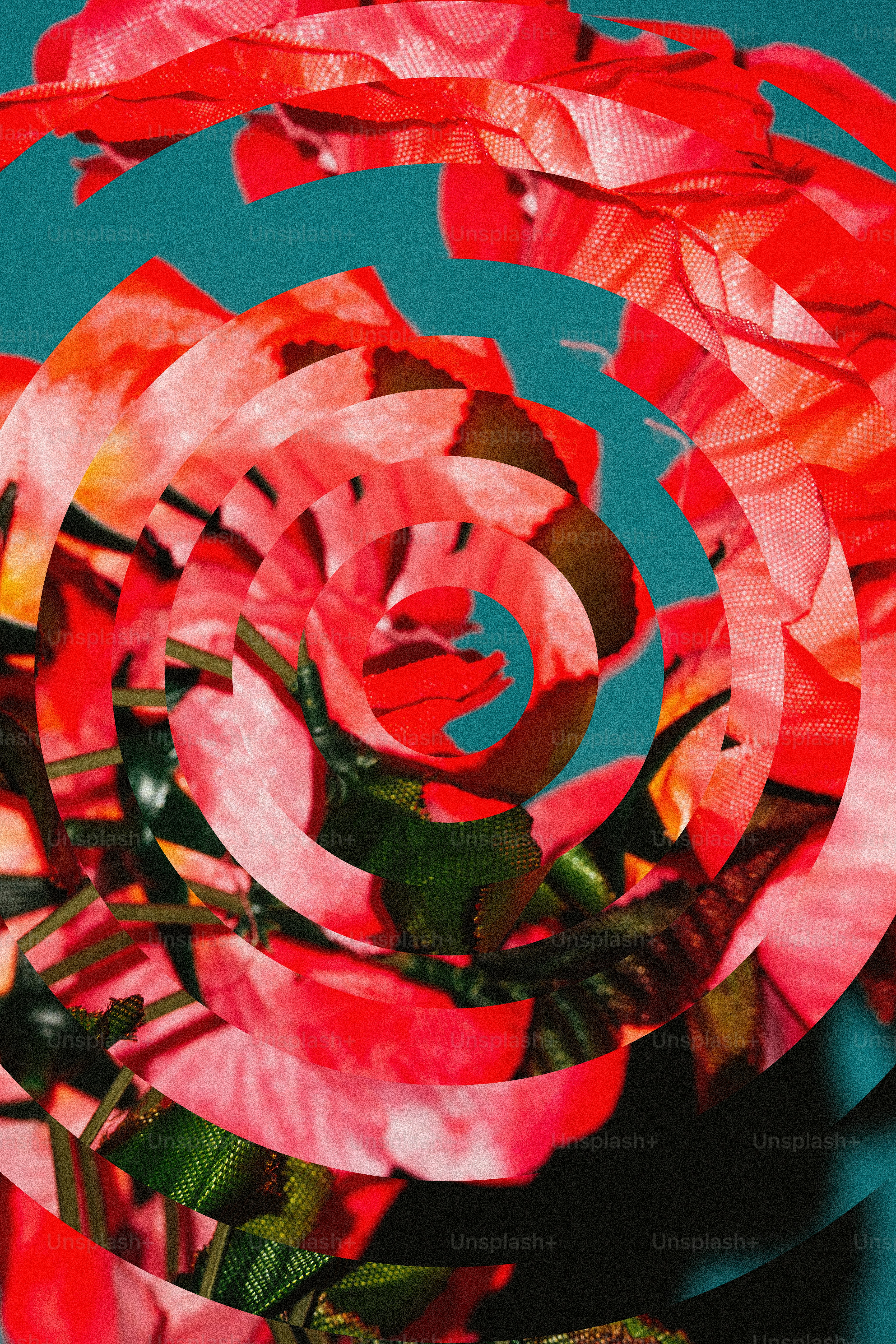 Fleurs rouges abstraites avec fond turquoise et effet spirale