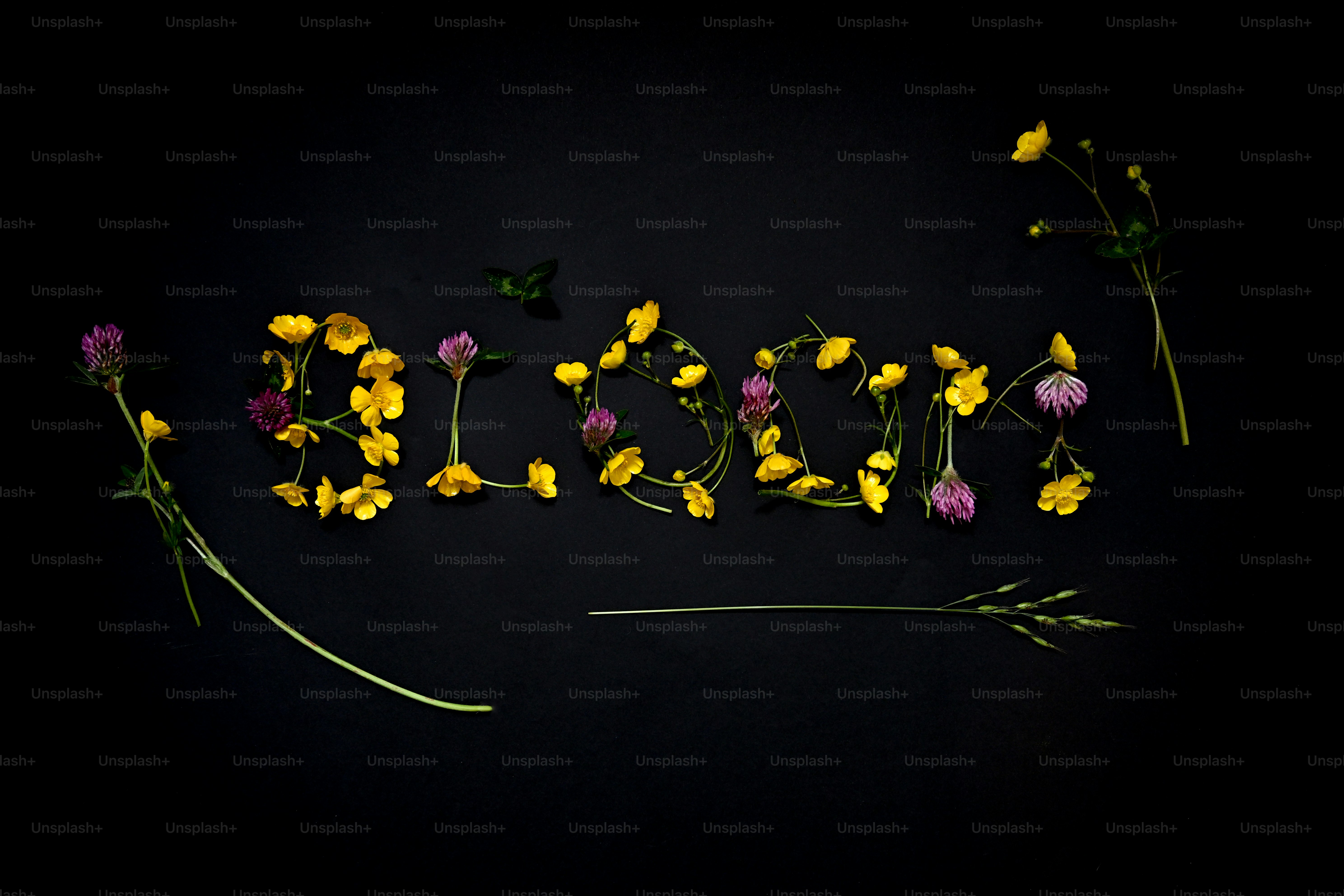 The word "bloom" spelled with yellow and purple flowers.