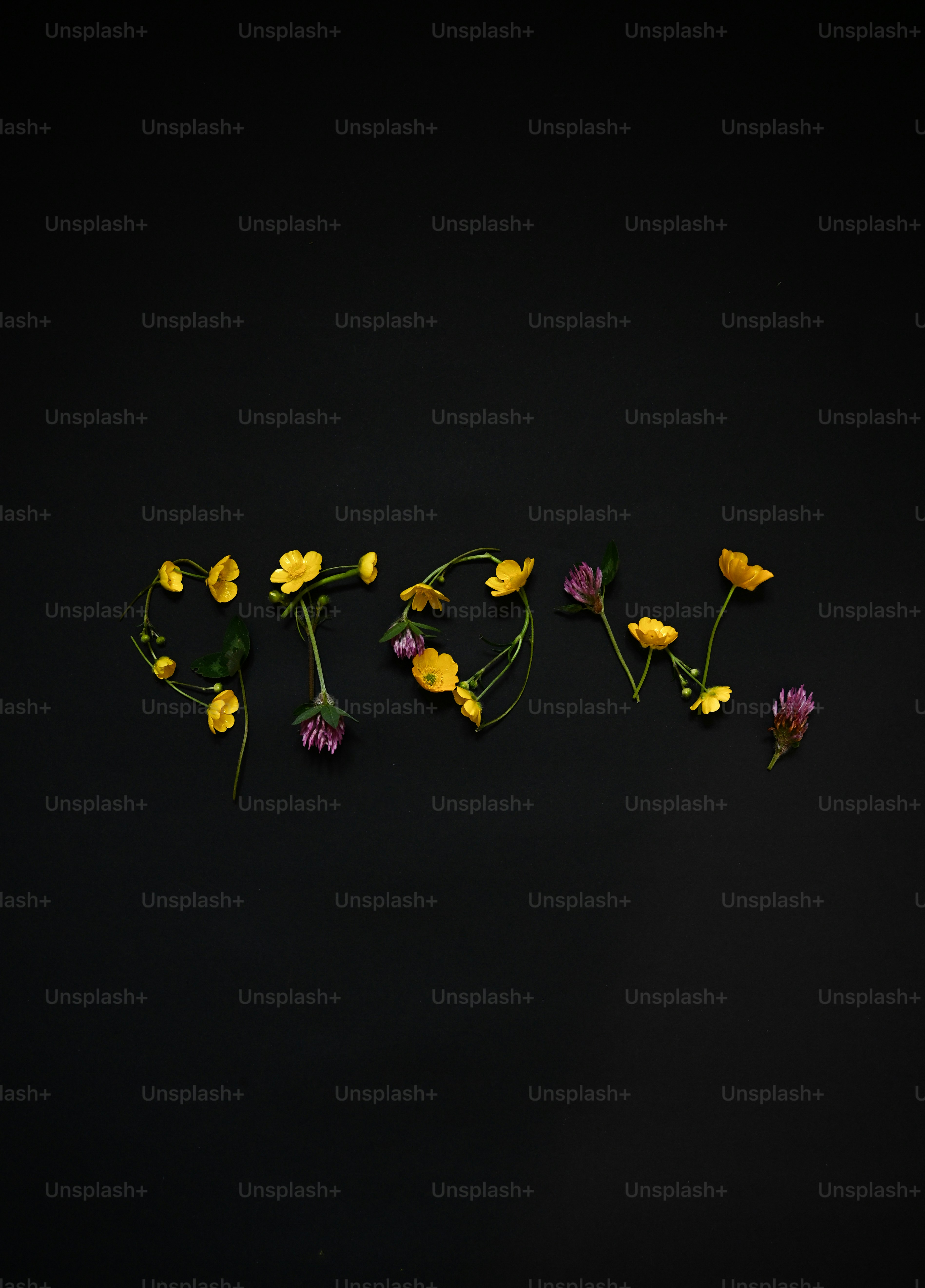The word grow spelled with yellow flowers on black