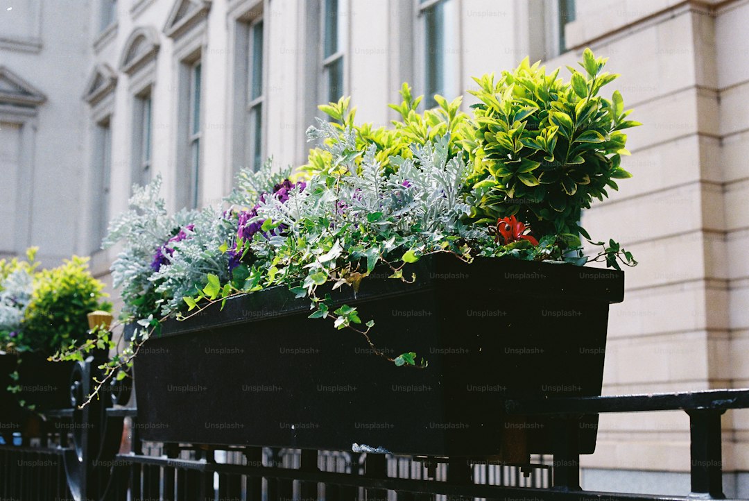 A black planter box filled with colorful flowers and greenery.