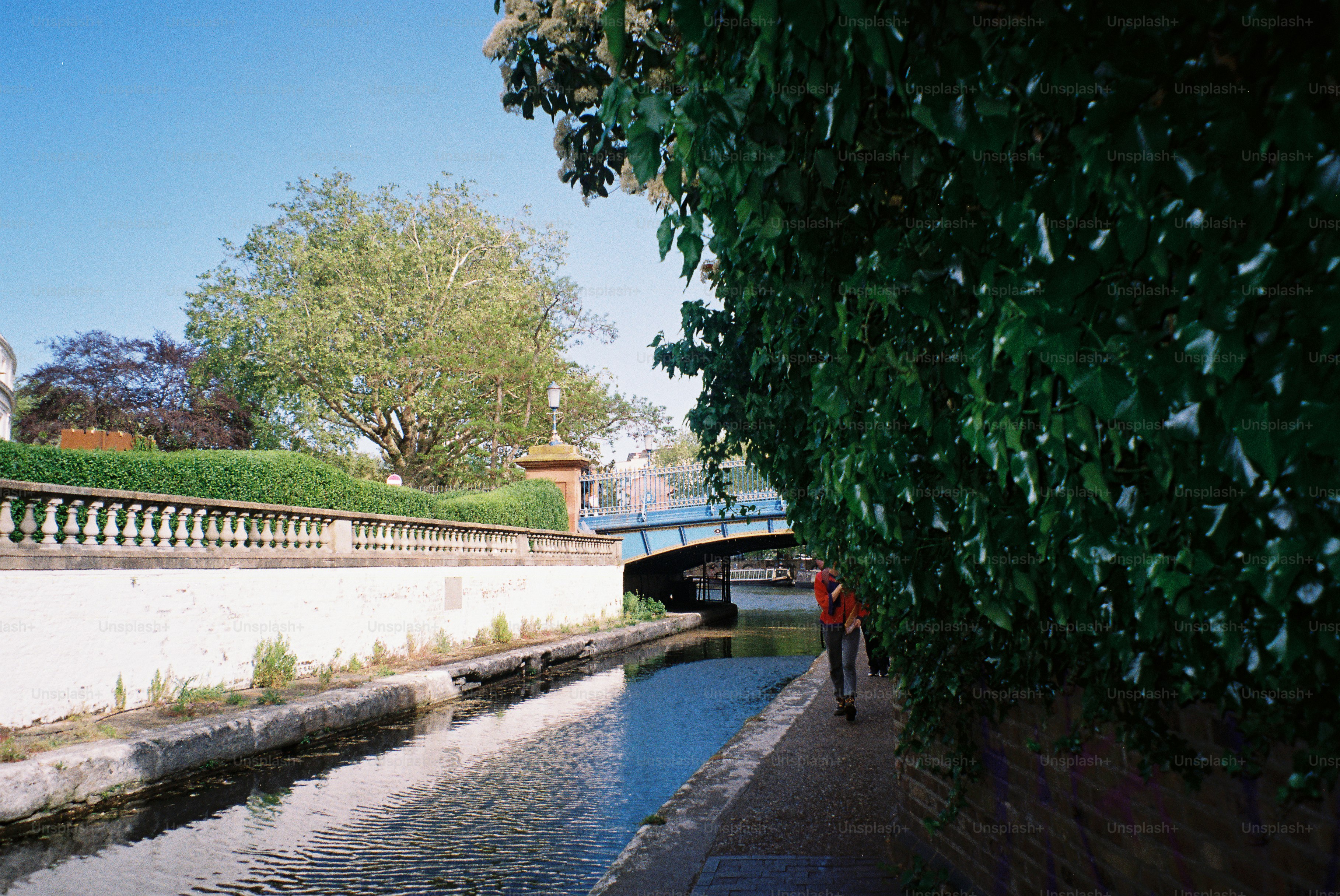 Person cycling along a canal path next to lush greenery.
