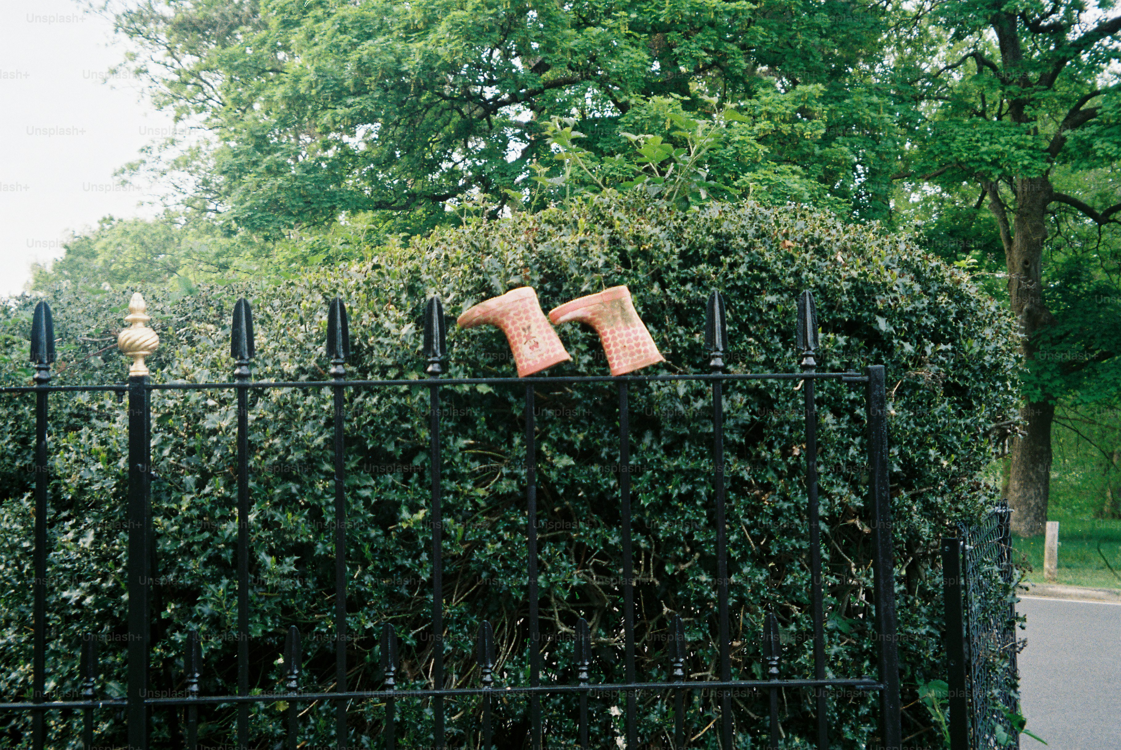 Two boots resting on a black metal fence.