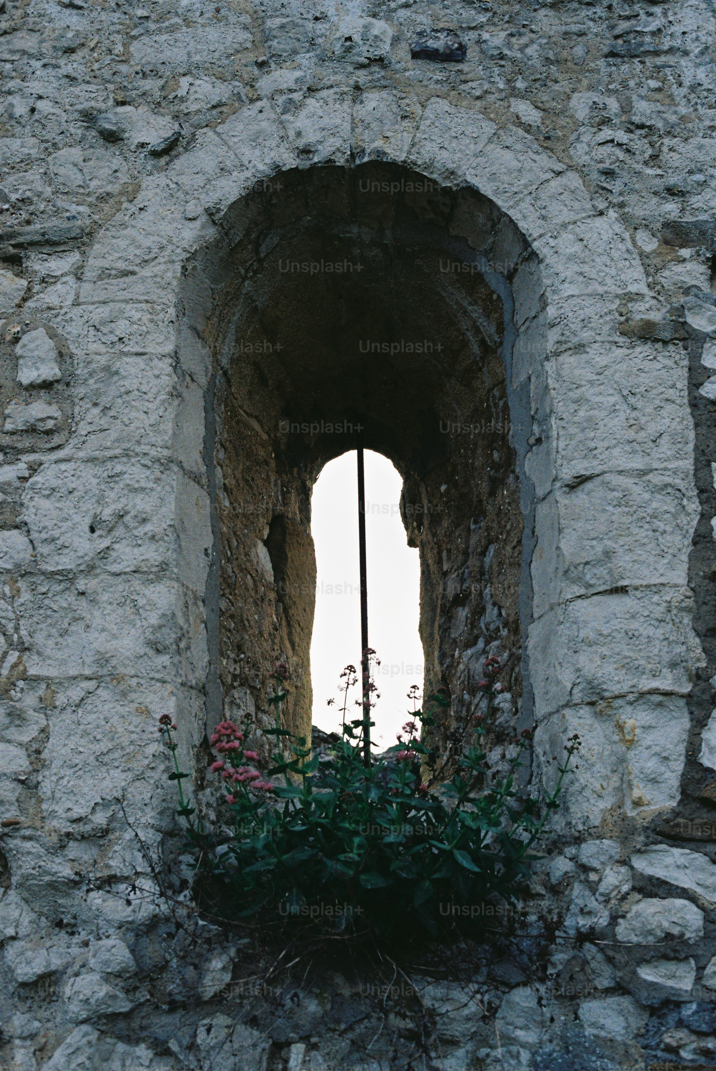 Arco de pedra com plantas crescendo por ele