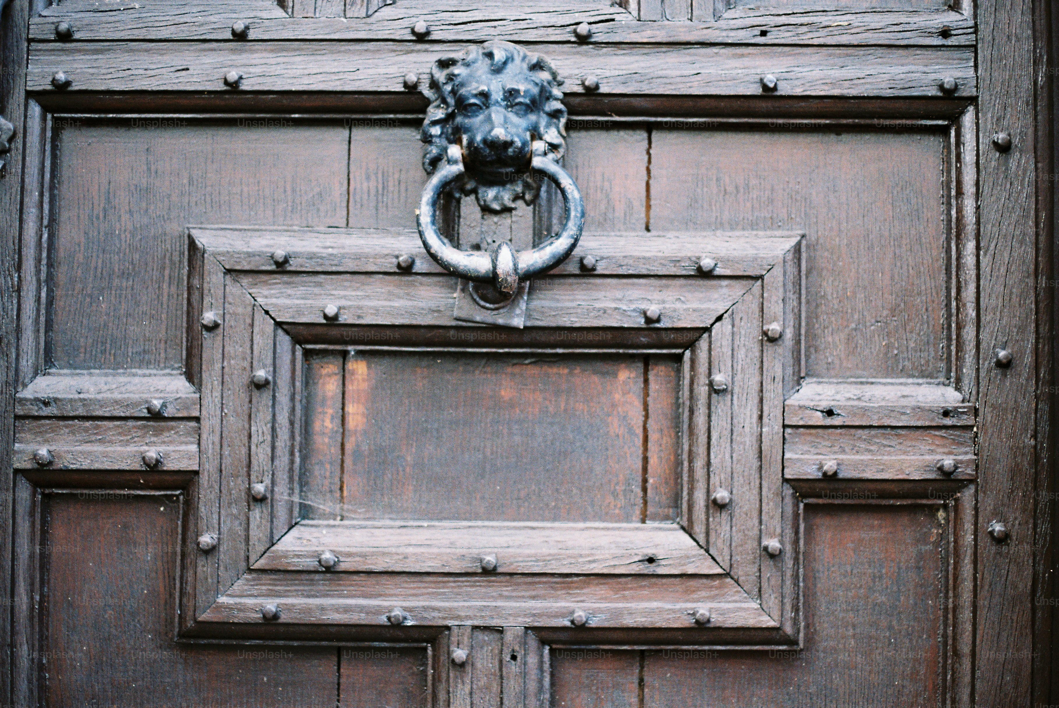 Antique wooden door with lion head knocker