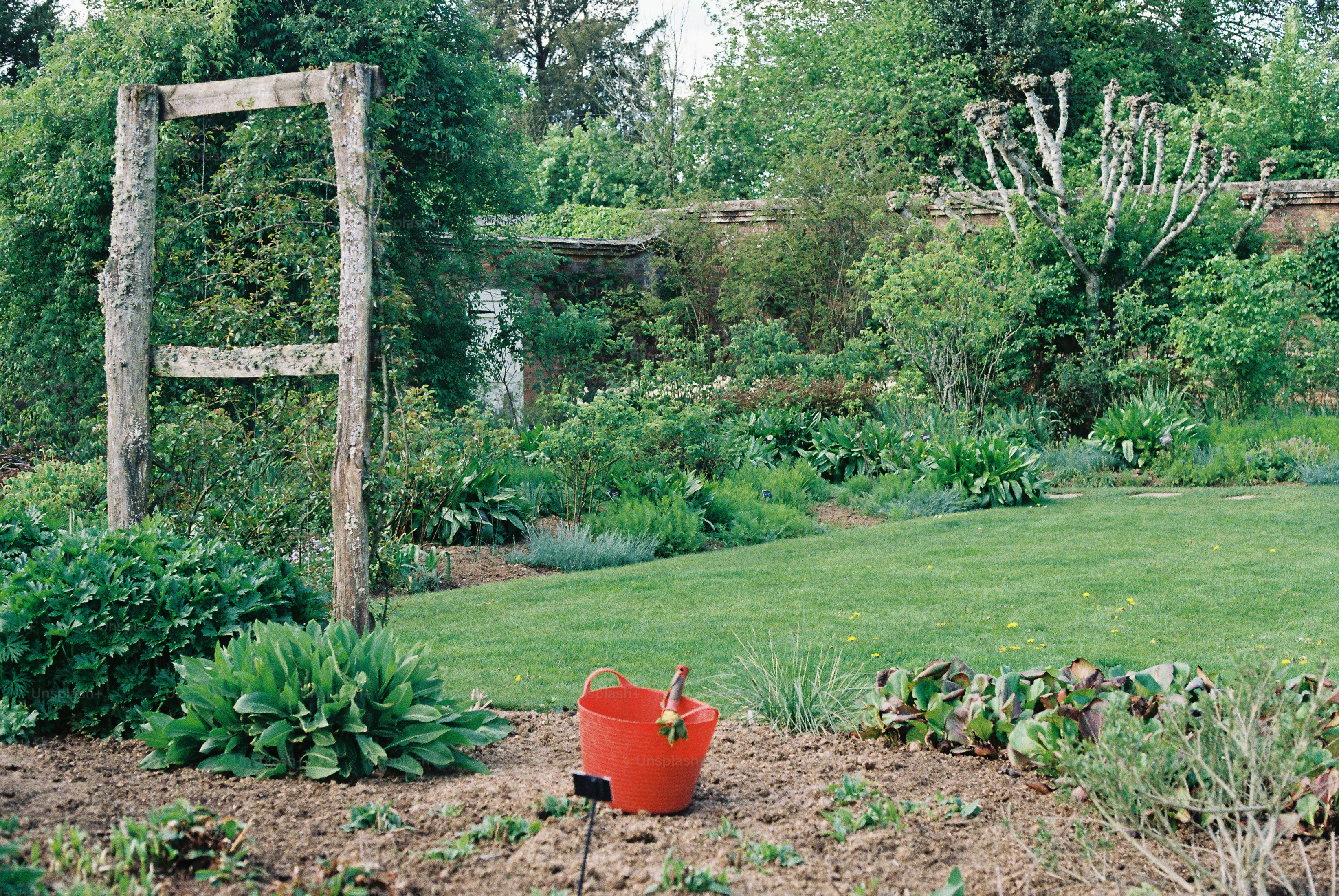 A lush garden with a red bucket on the grass.