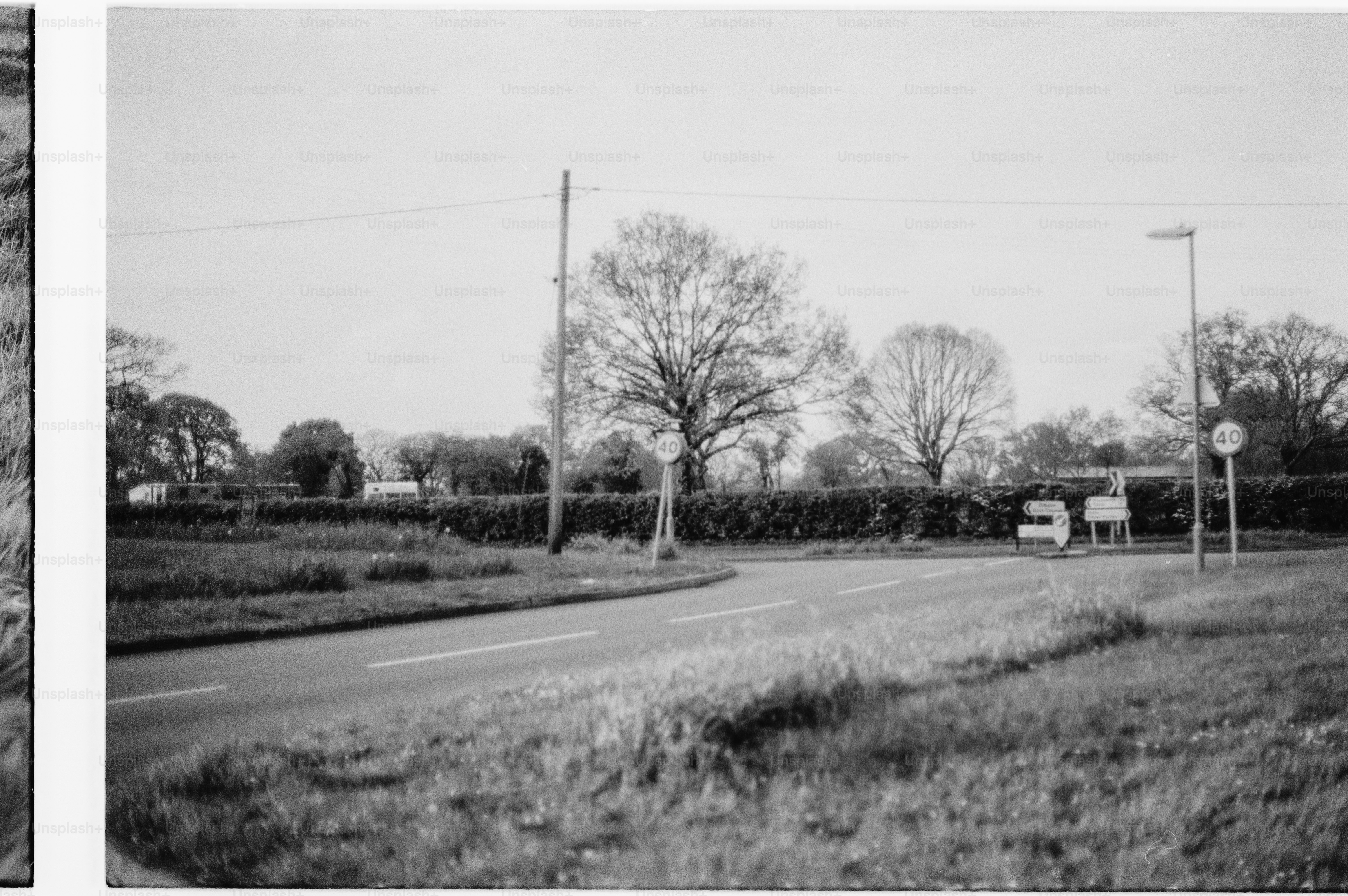 A rural road with trees and a bus stop.