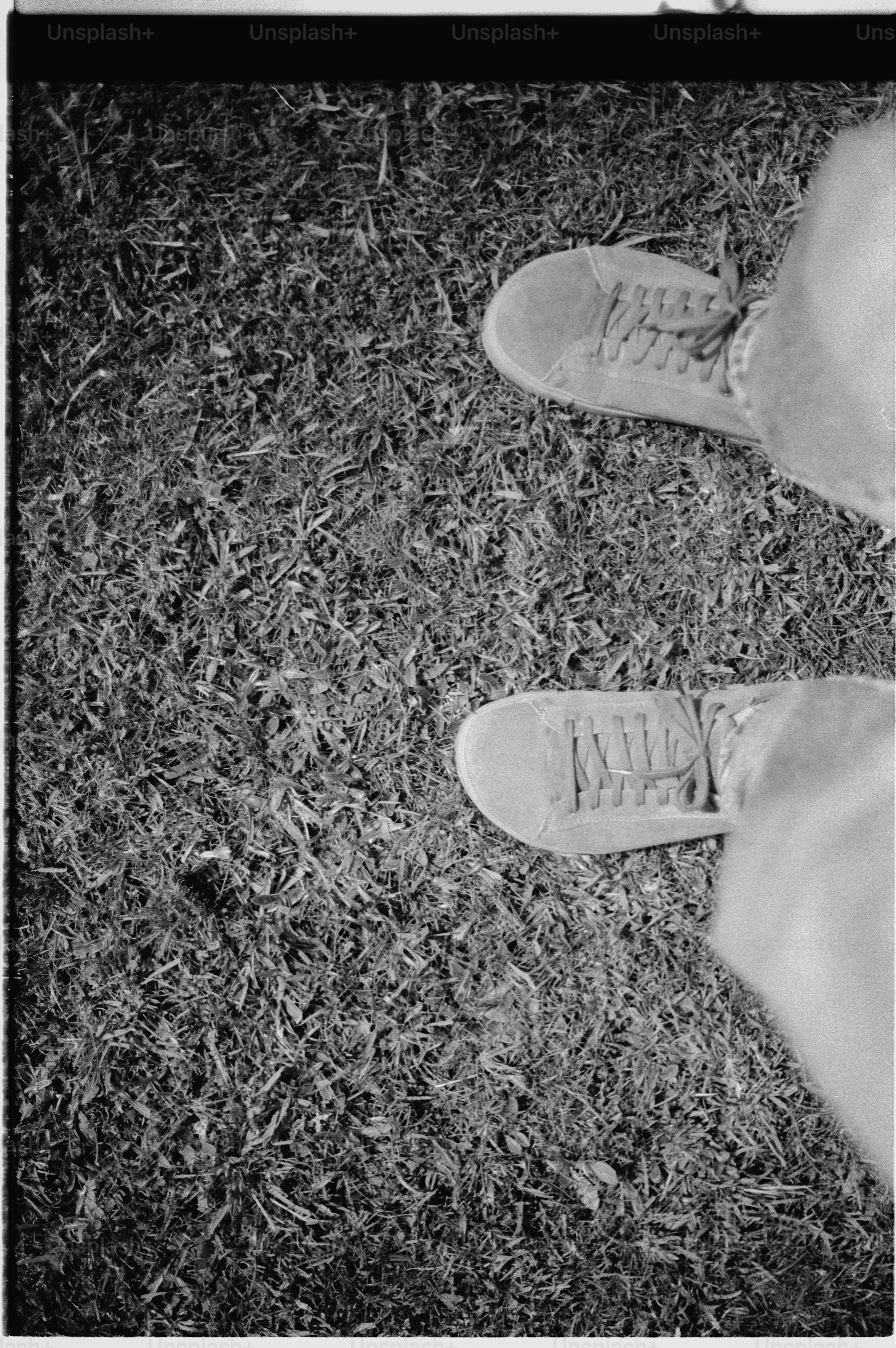 Pair of suede shoes standing on grass