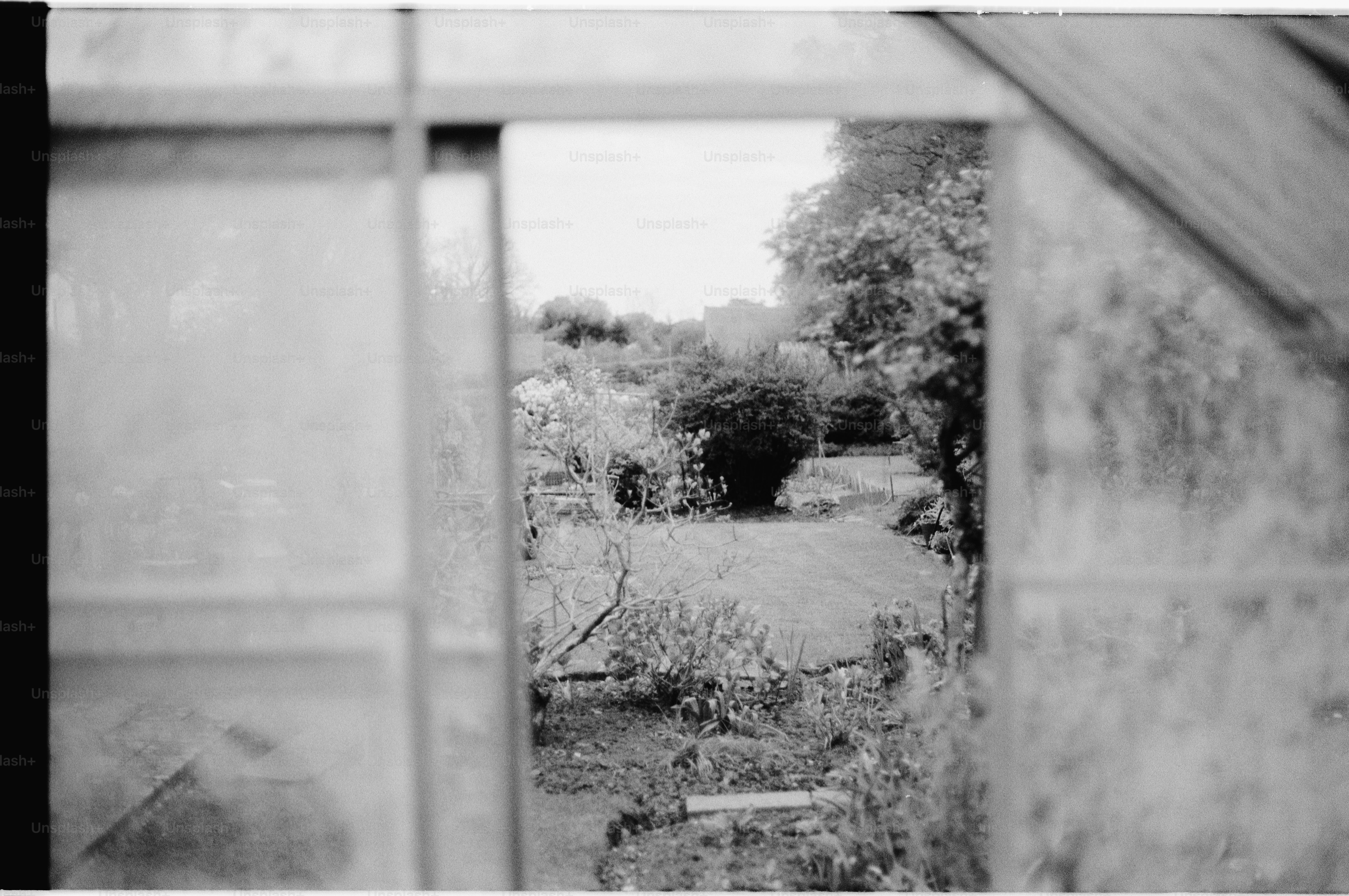 View of a garden through a doorway