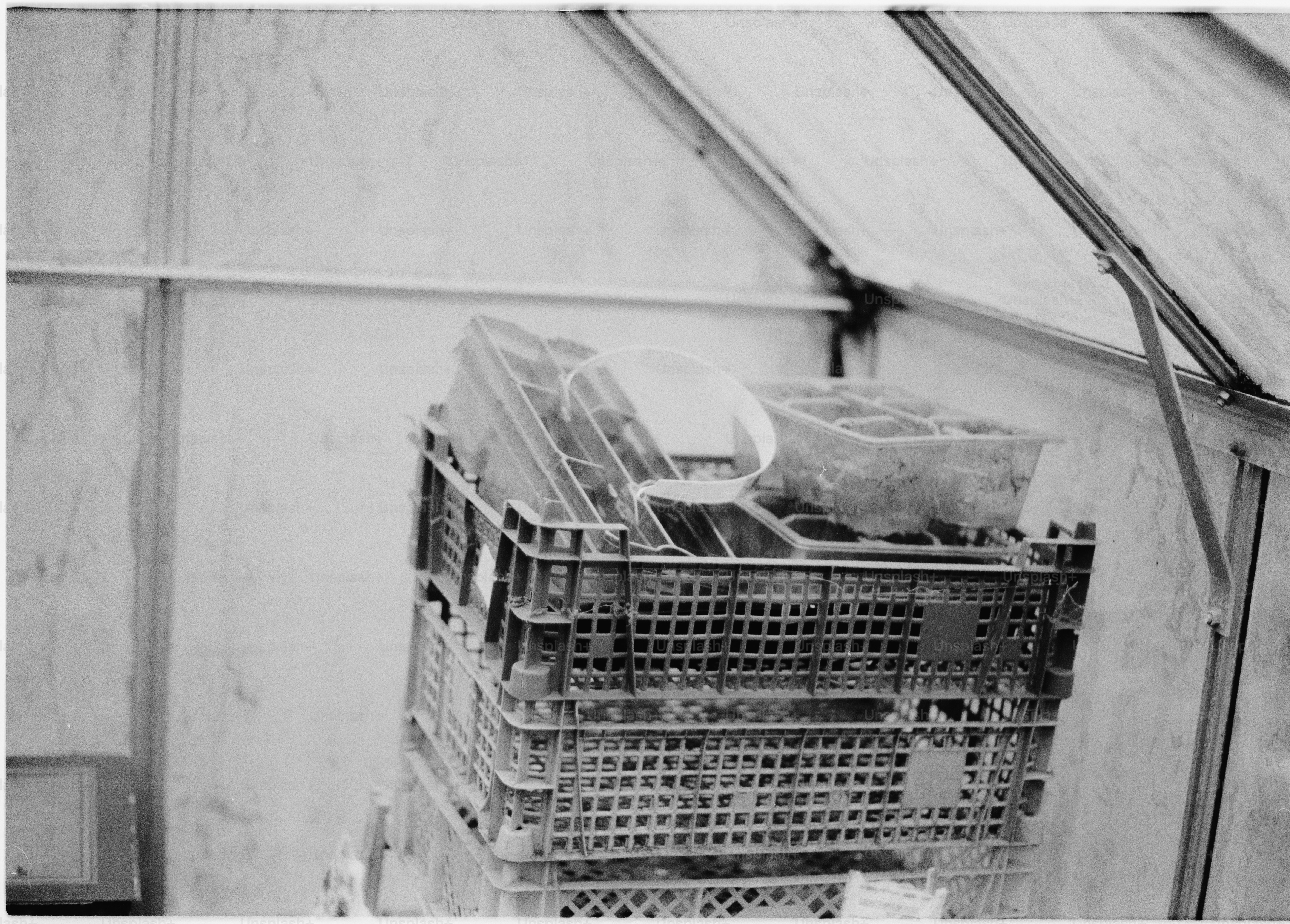 Stack of plastic crates with seed trays inside