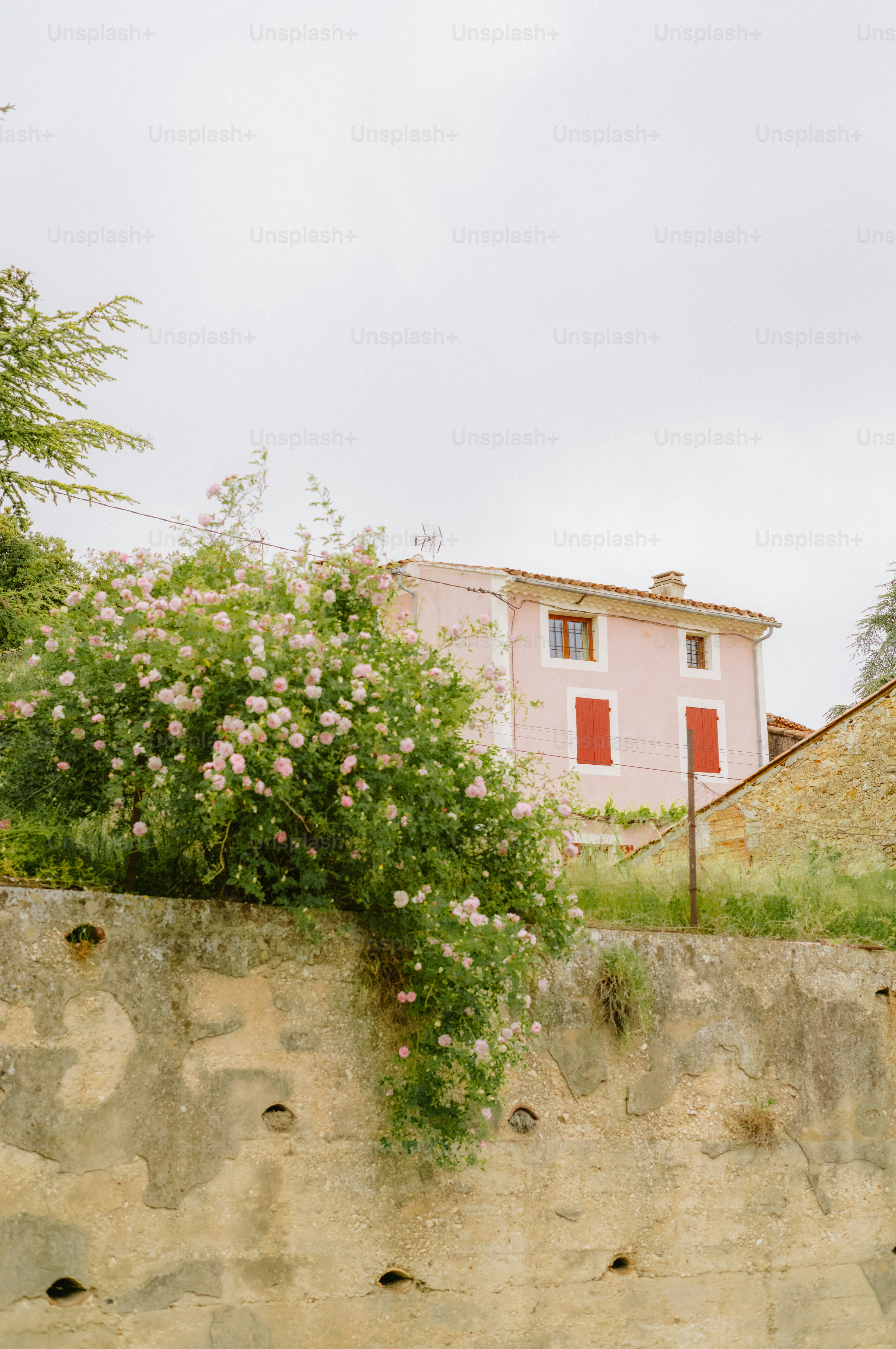 Pink house with red shutters and blooming bush.