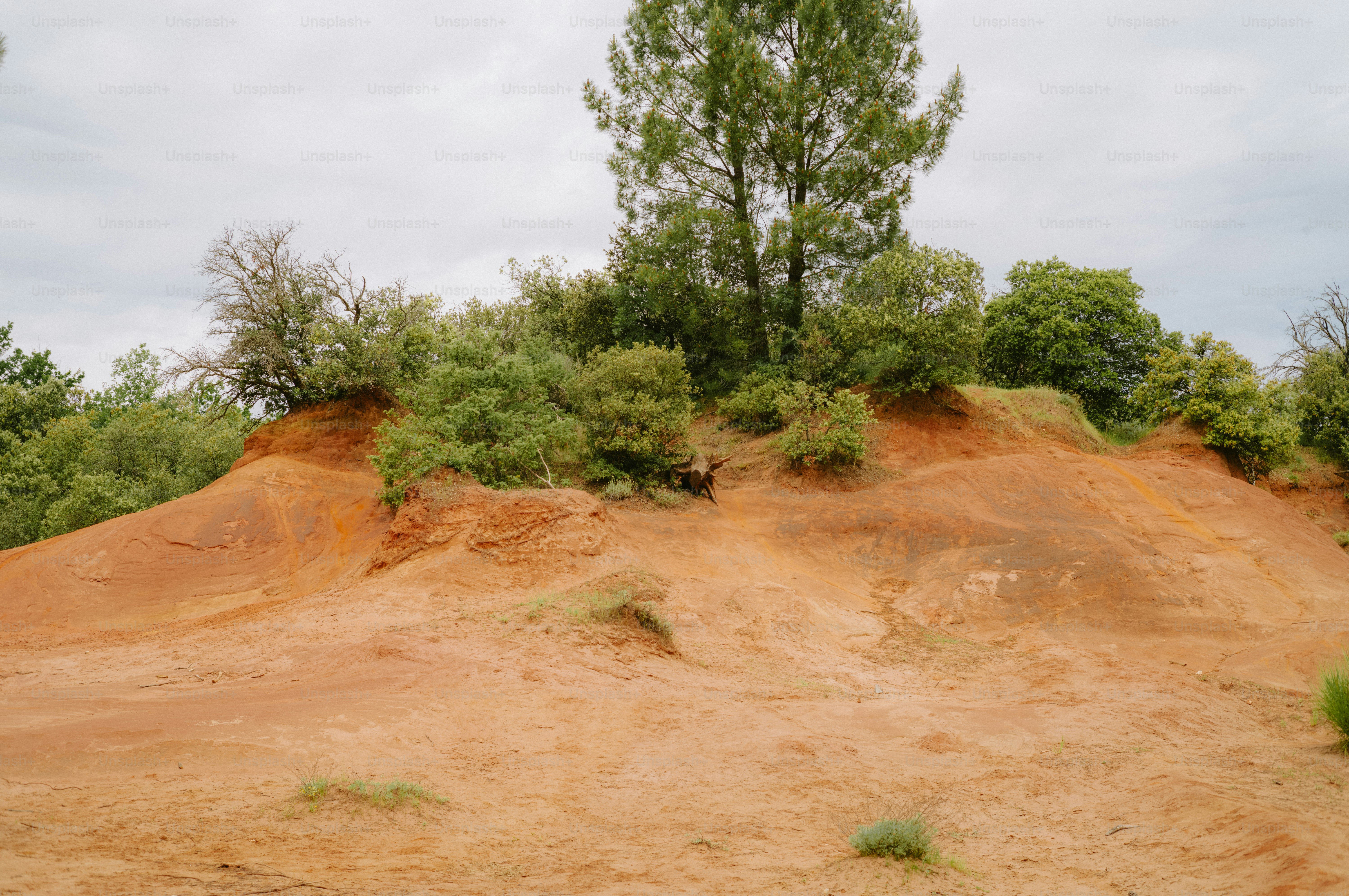 Colinas de solo vermelho com árvores verdes sob céu nublado