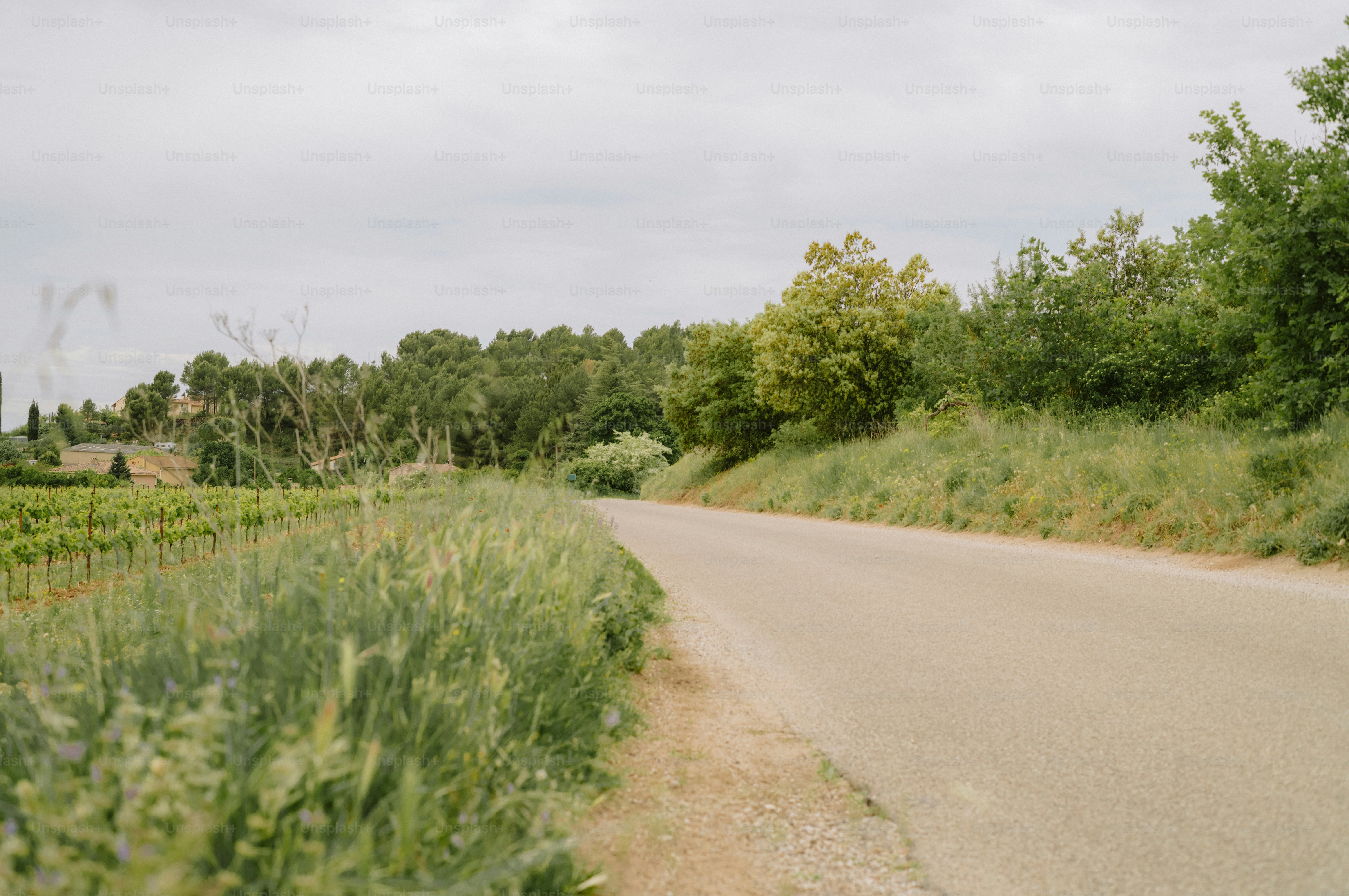 A paved road curves through green fields and trees.