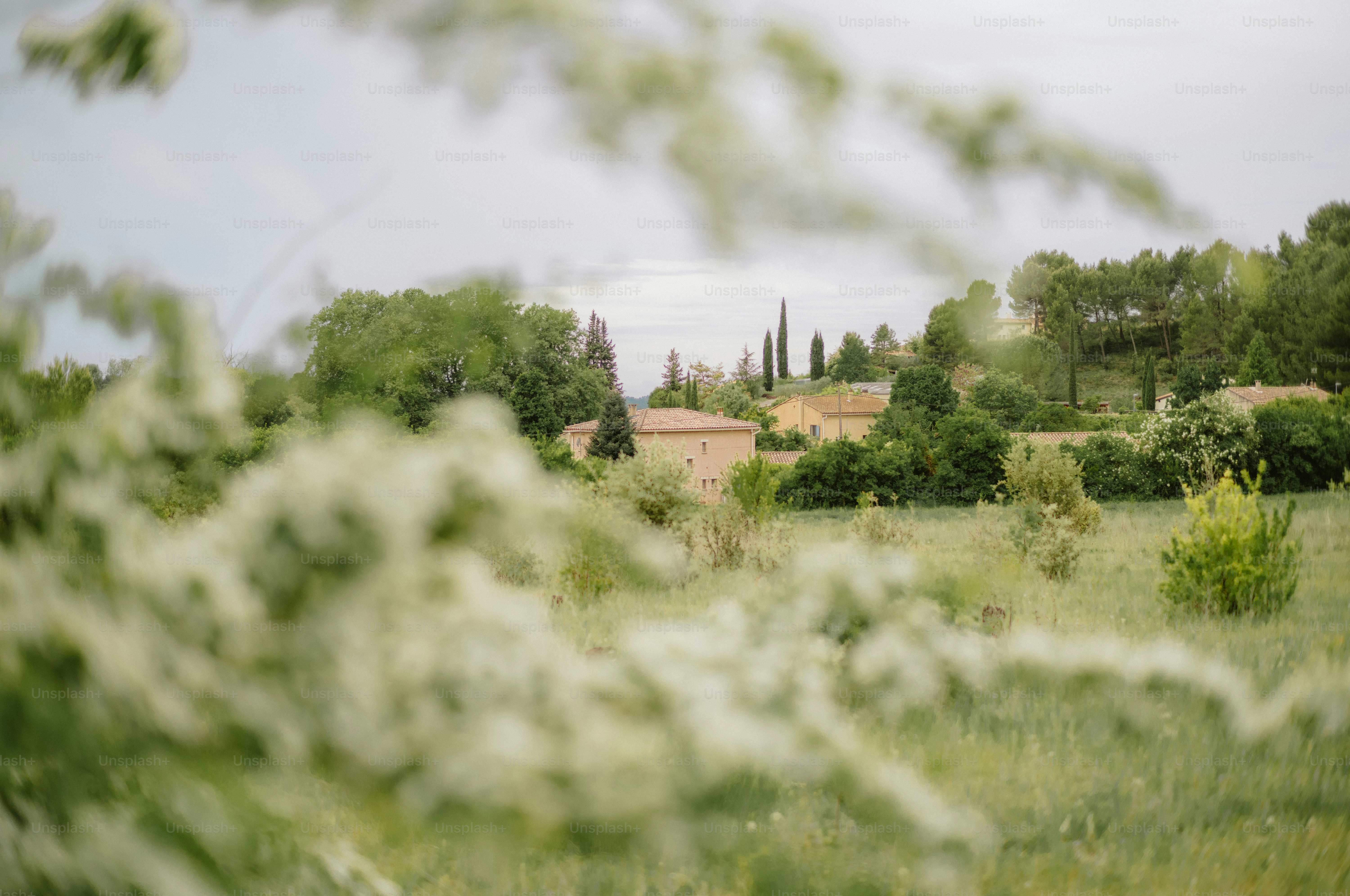 Rural landscape with houses and trees under cloudy sky.