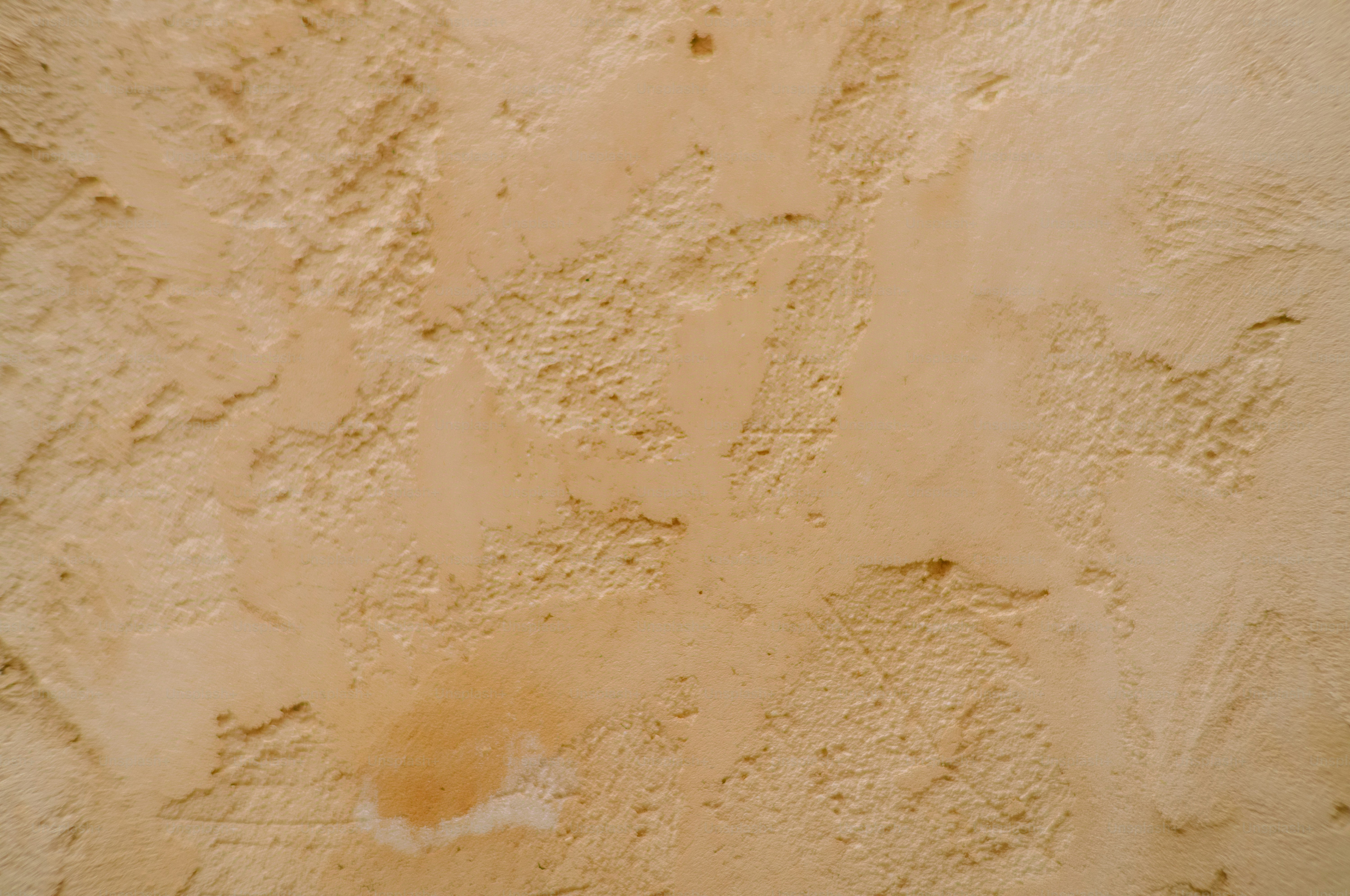 Close-up of rough textured beige and white surface