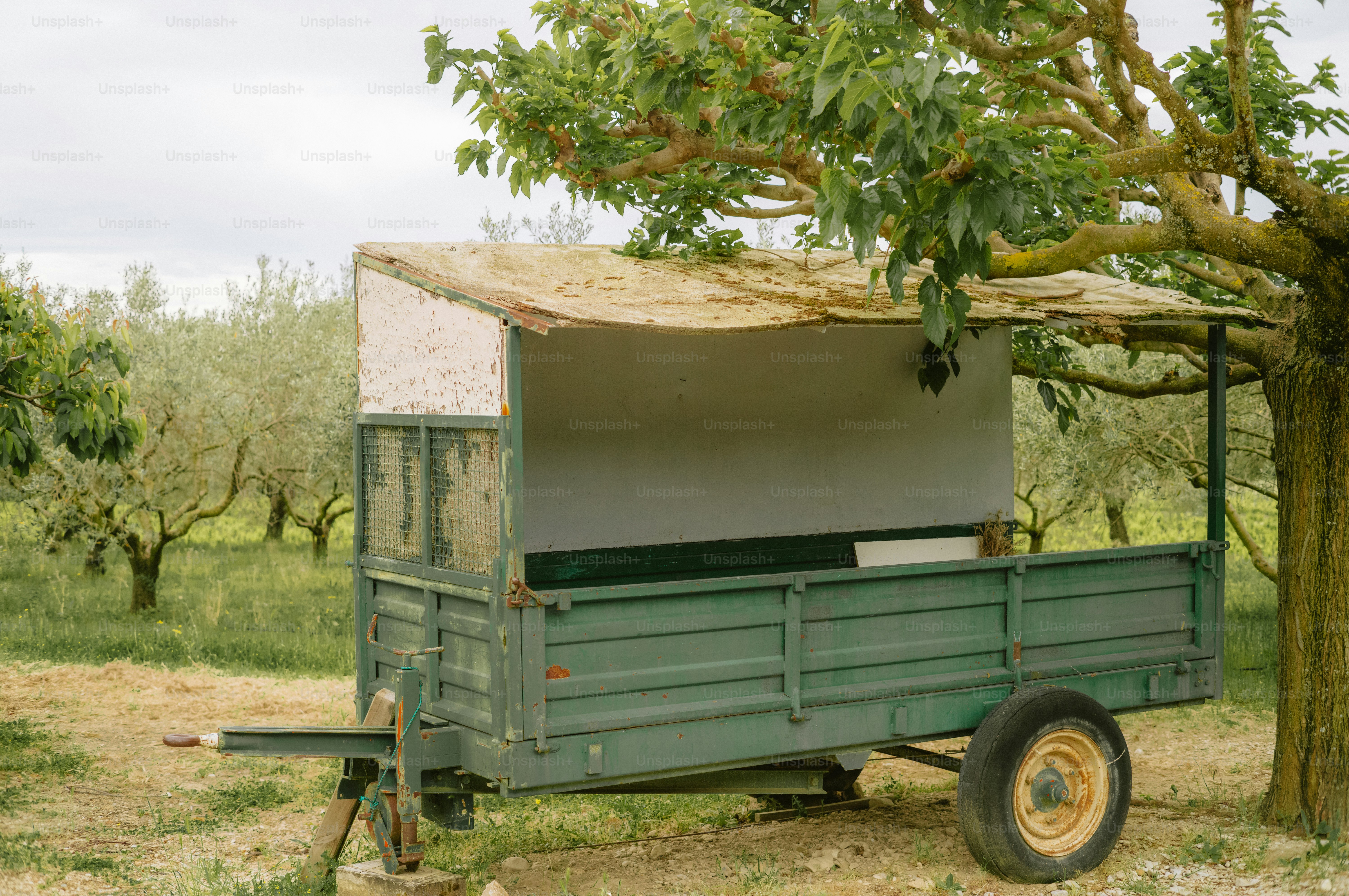 An old green trailer with a canopy in a field.