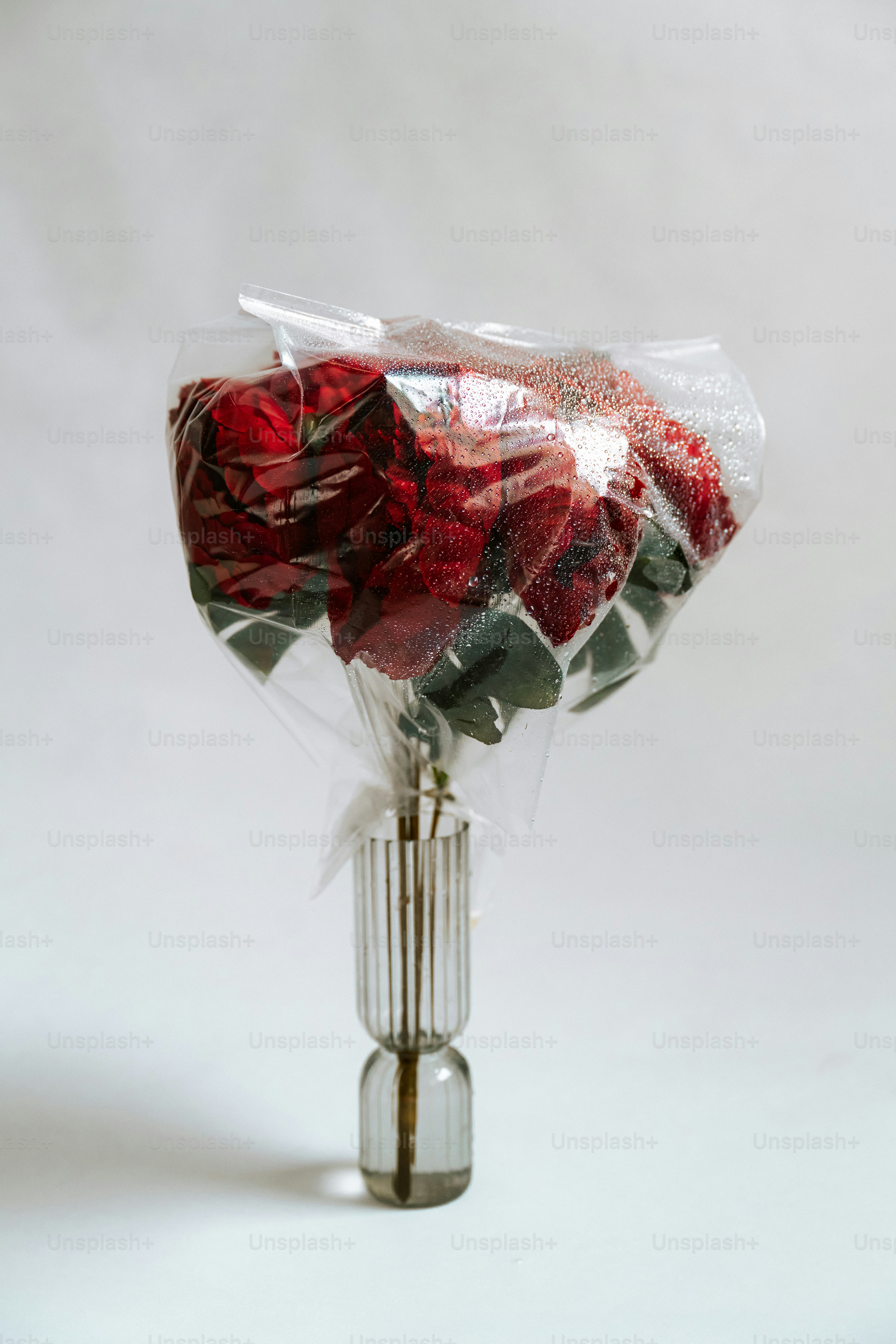 Red roses in a modern glass vase