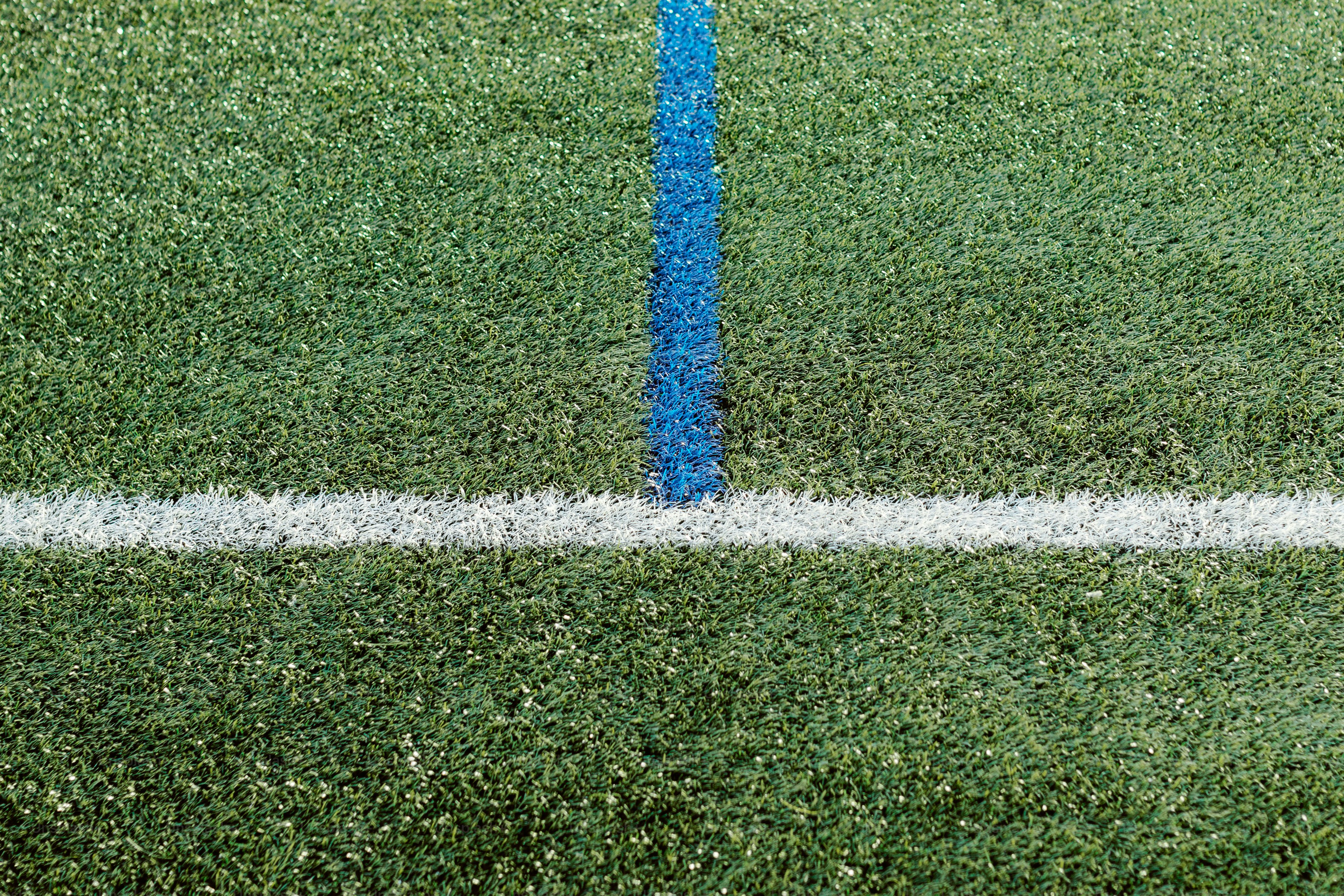 Rumput buatan hijau dengan garis putih dan biru yang berpotongan.