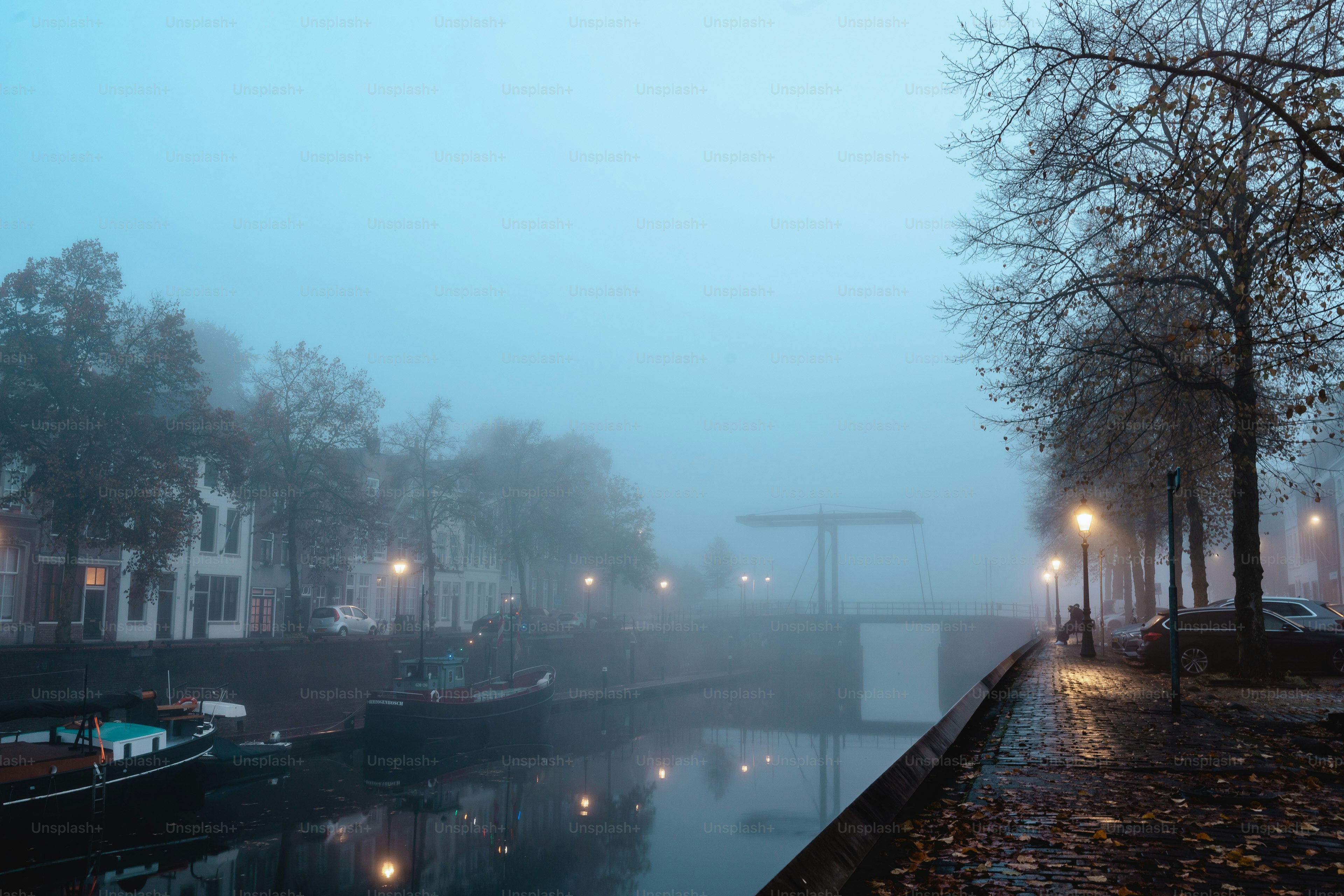 Misty canal with streetlights and bare trees