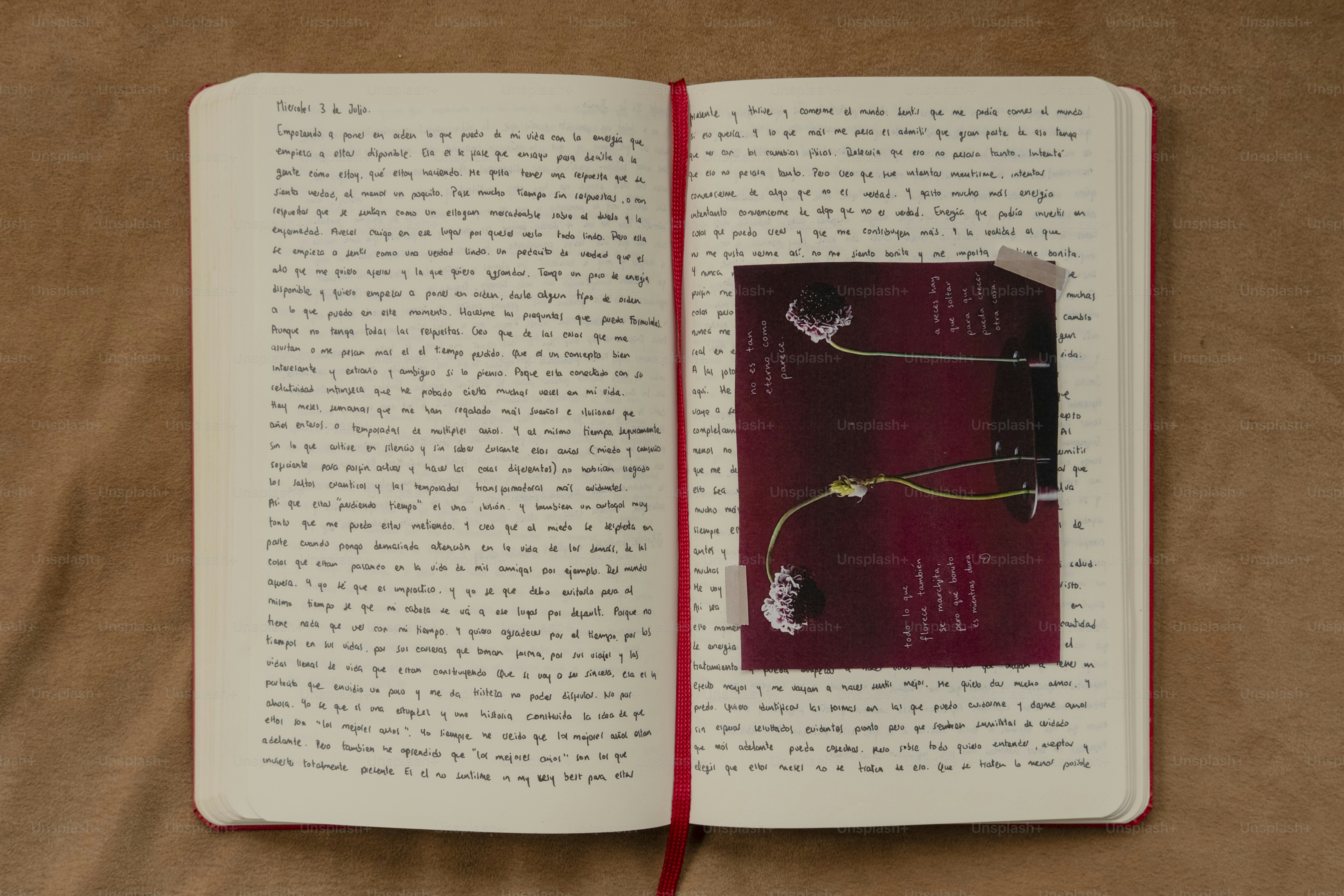 Handwritten notes and a small photograph of a horse. photo – Grass ...