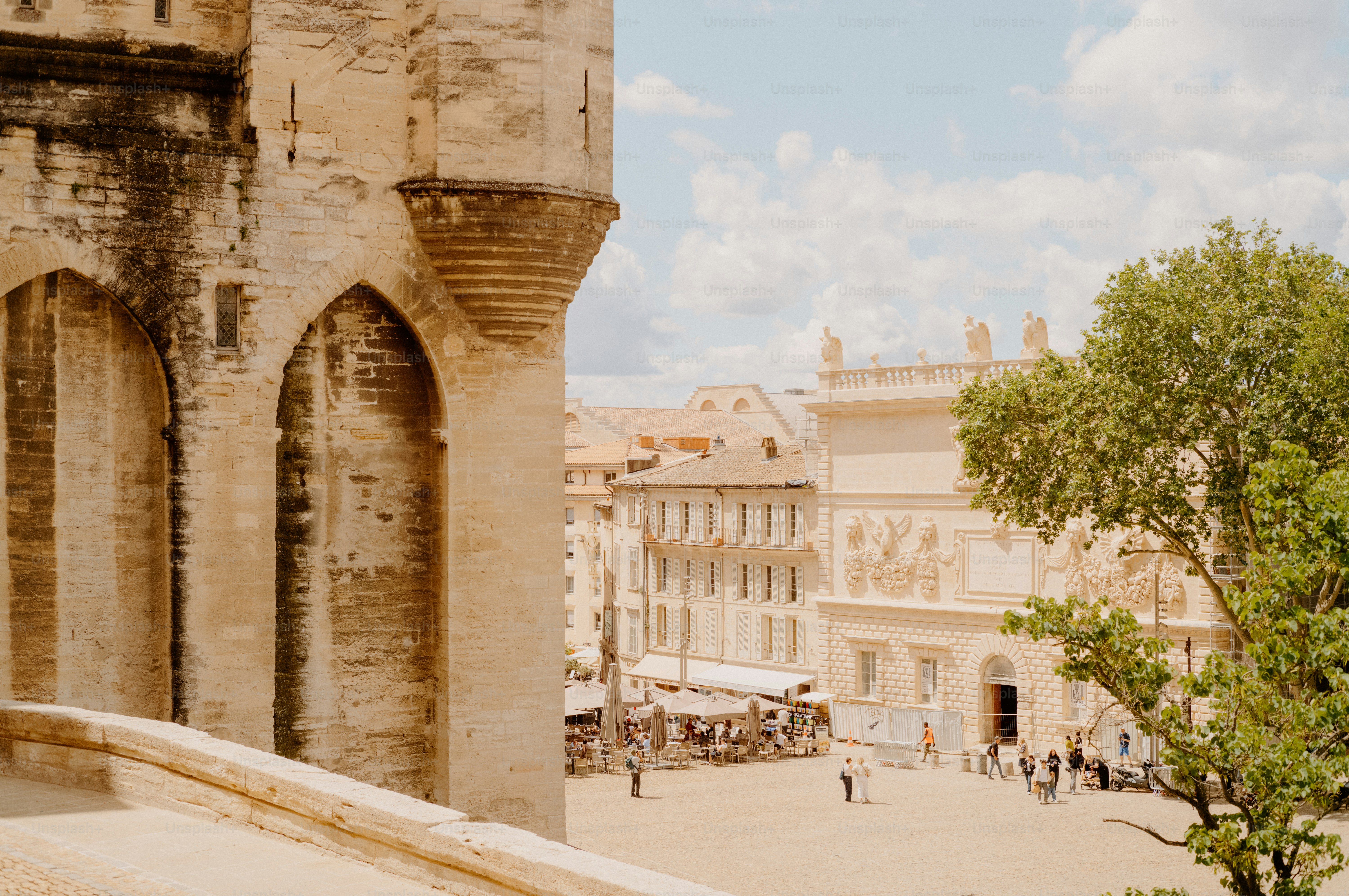 Arles town square with historic buildings and tree.