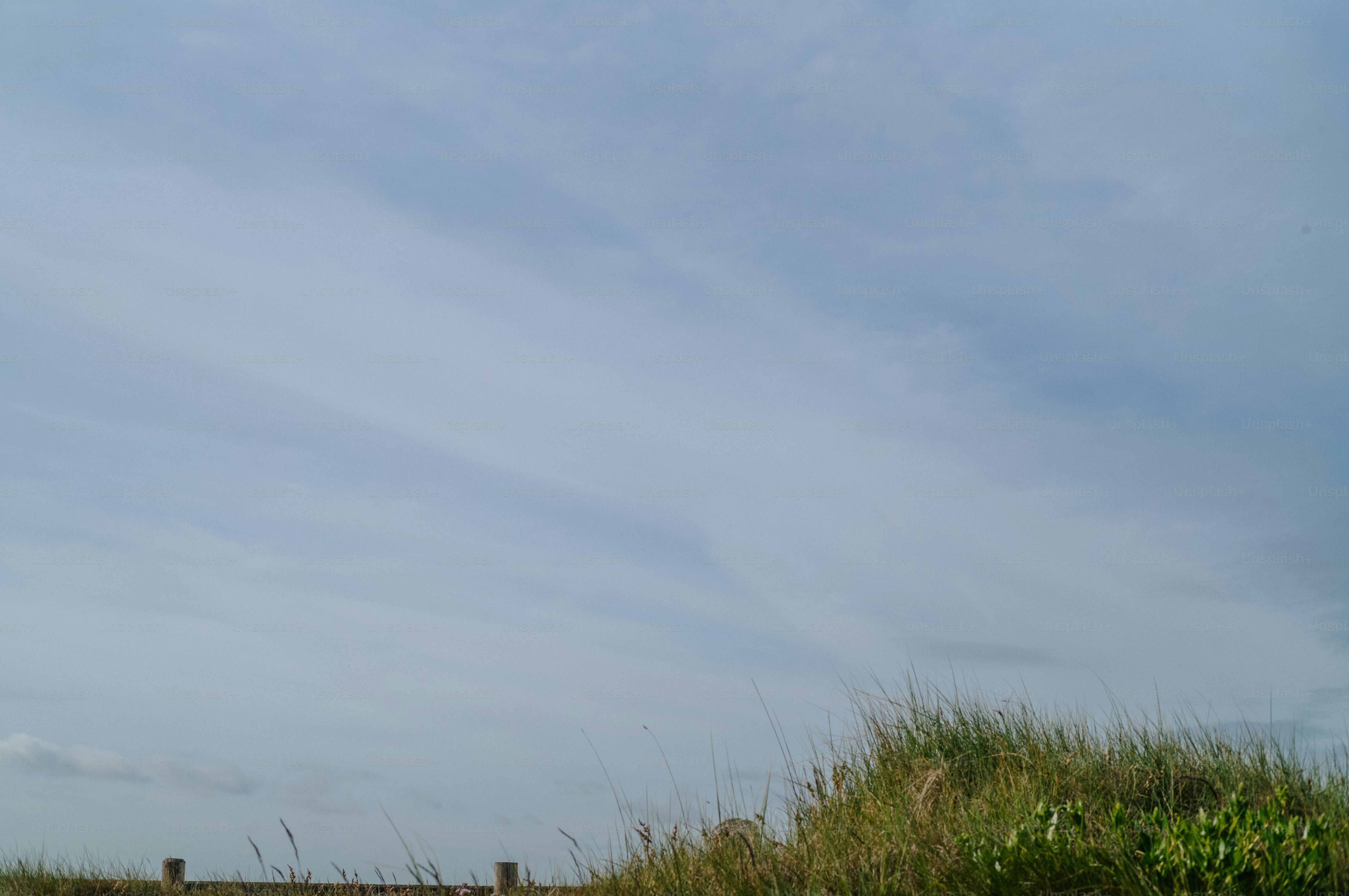 Wispy clouds in a blue sky above green grass.