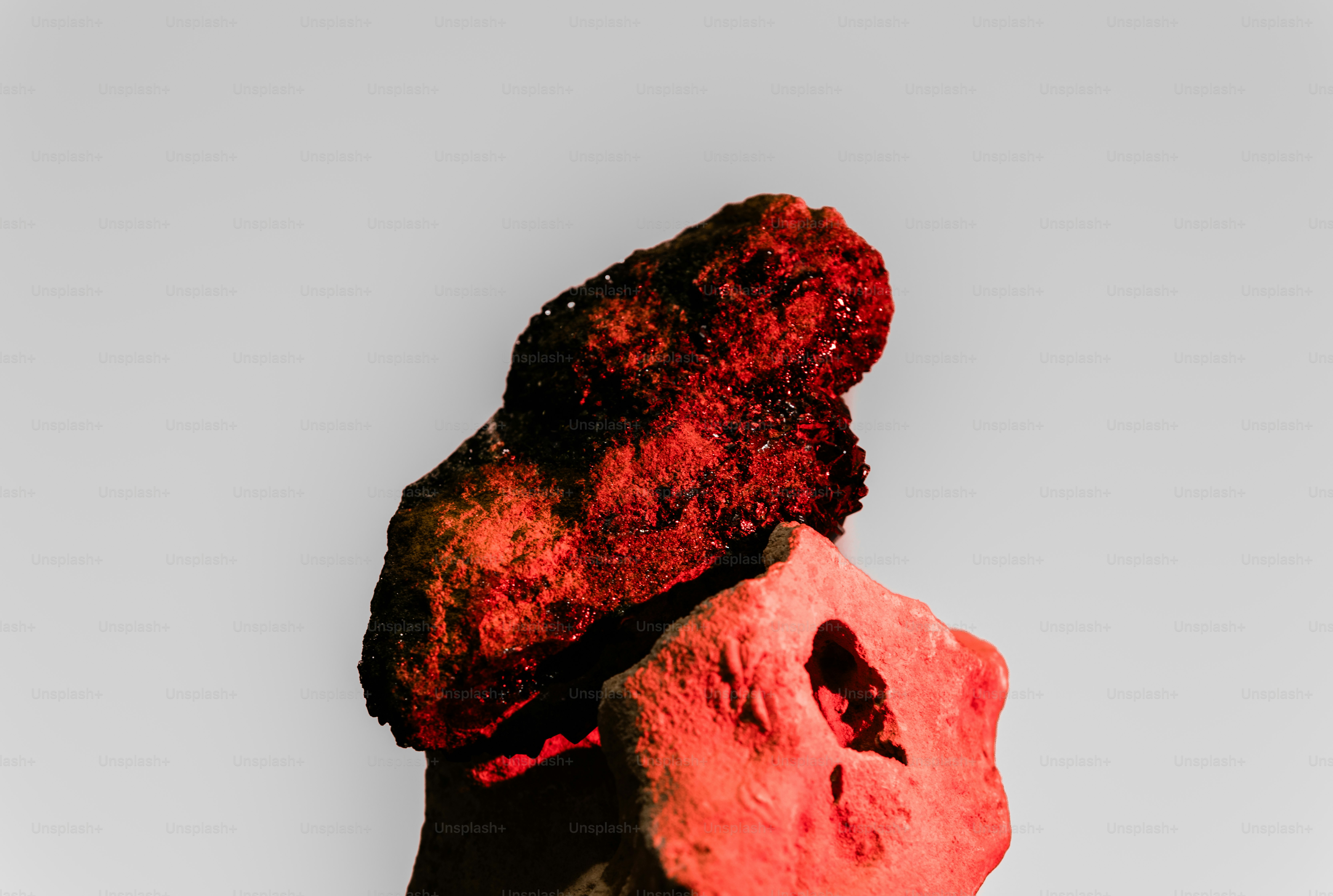 Tangan memegang potongan daging merah mentah