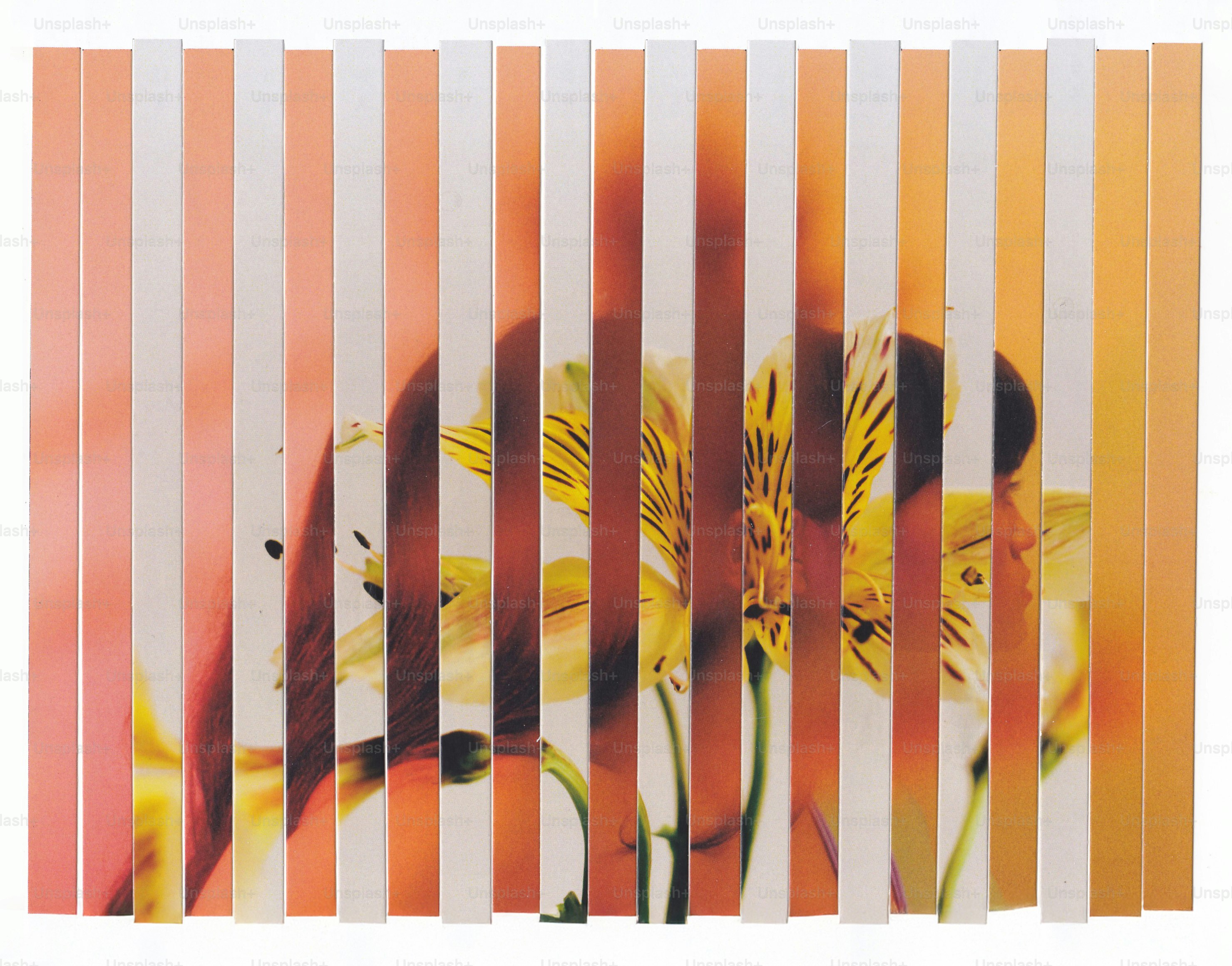 Yellow flower behind vertical white and orange strips.