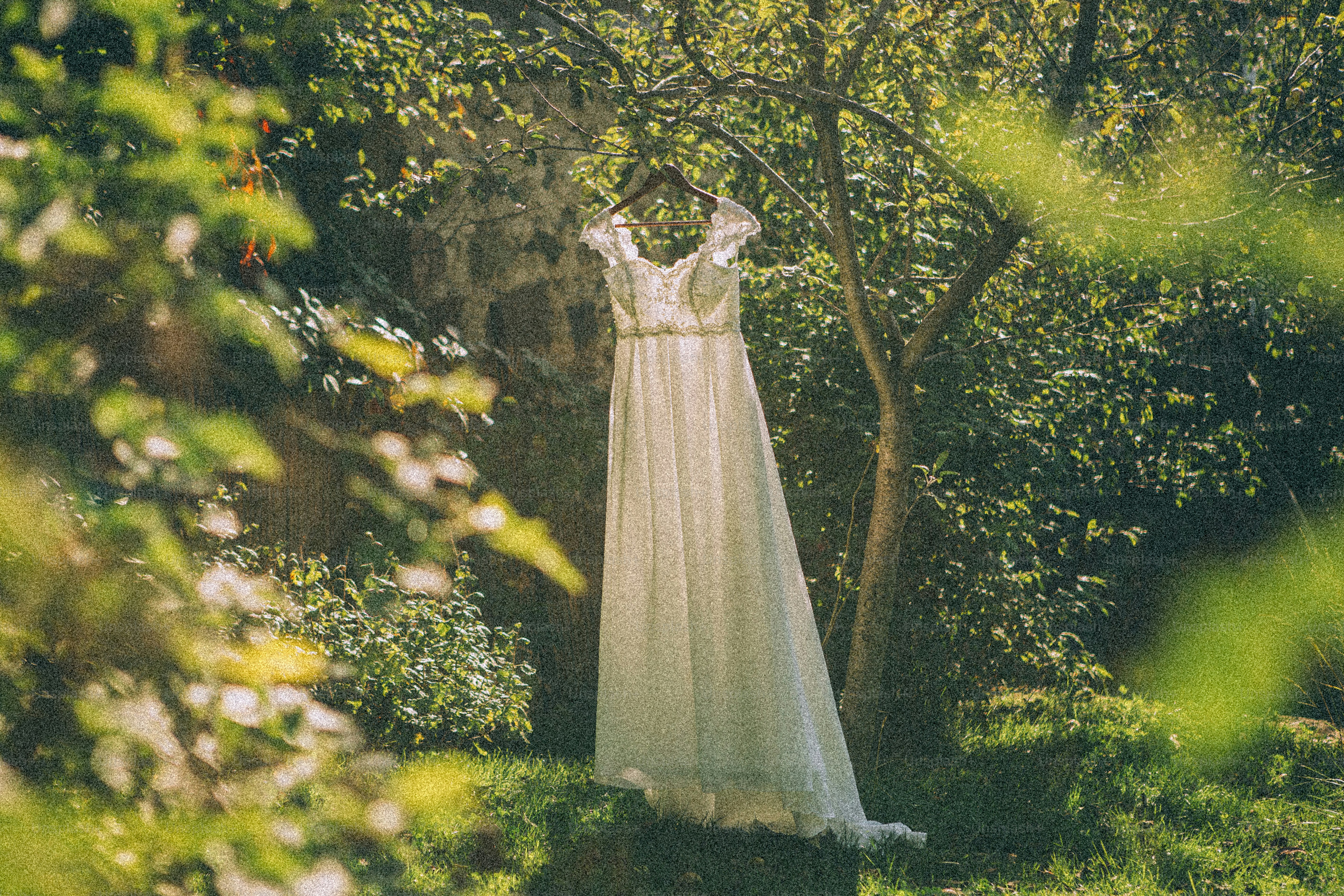 White dress hanging on a tree amidst green foliage.