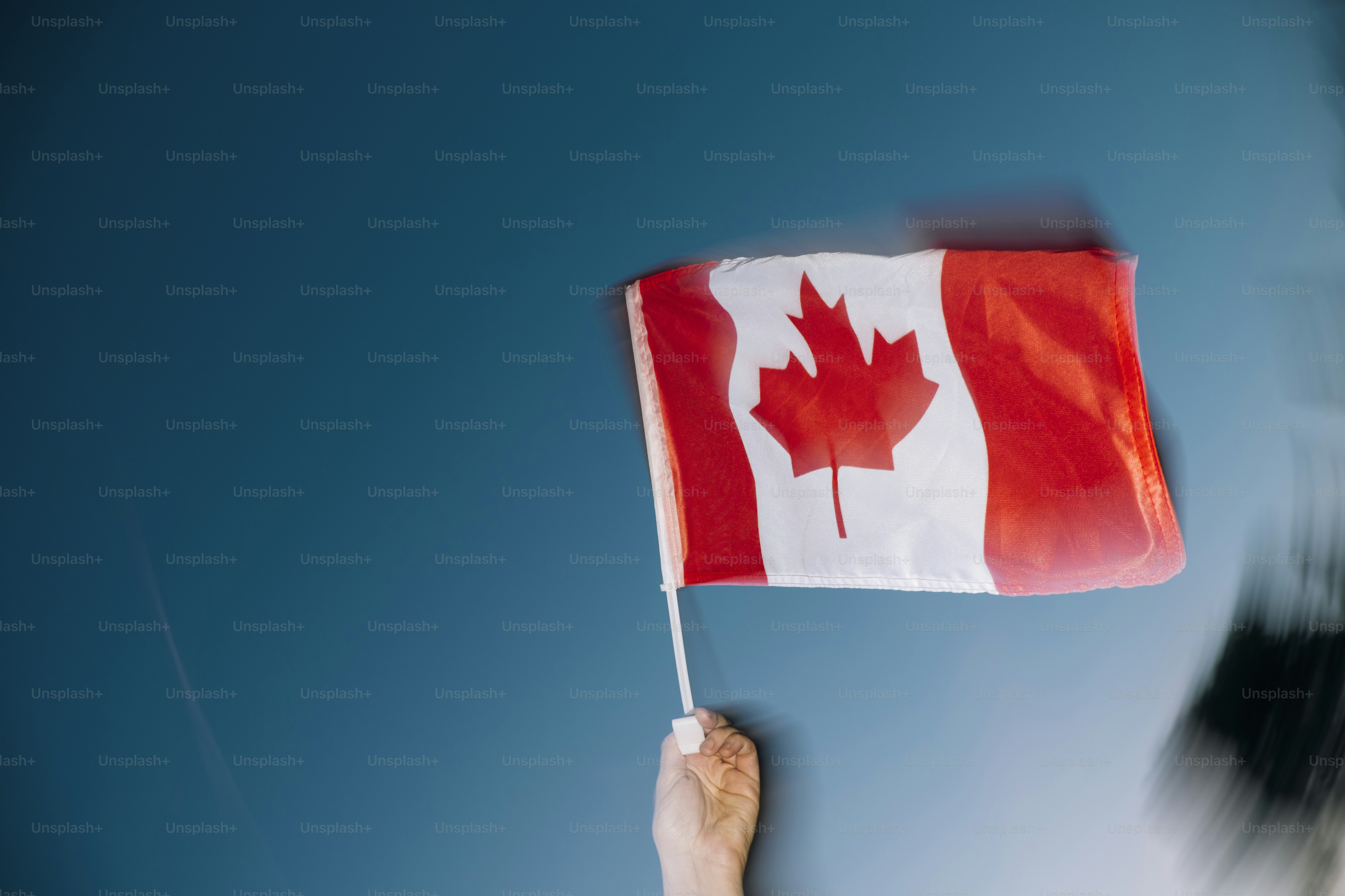 Hand waving a small canadian flag against a blue background with patriotic motion blur