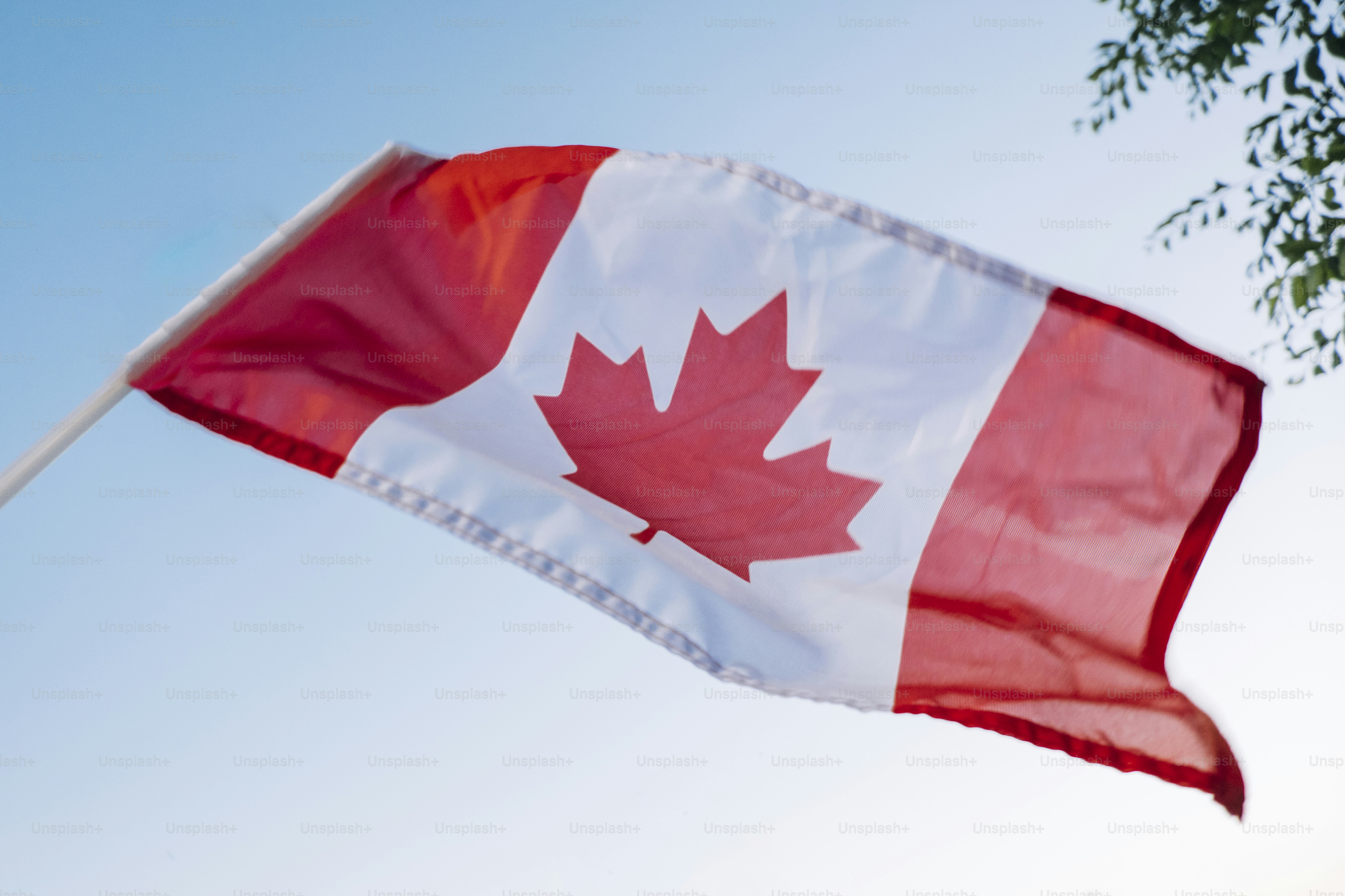 A canadian flag waving against a clear blue sky.