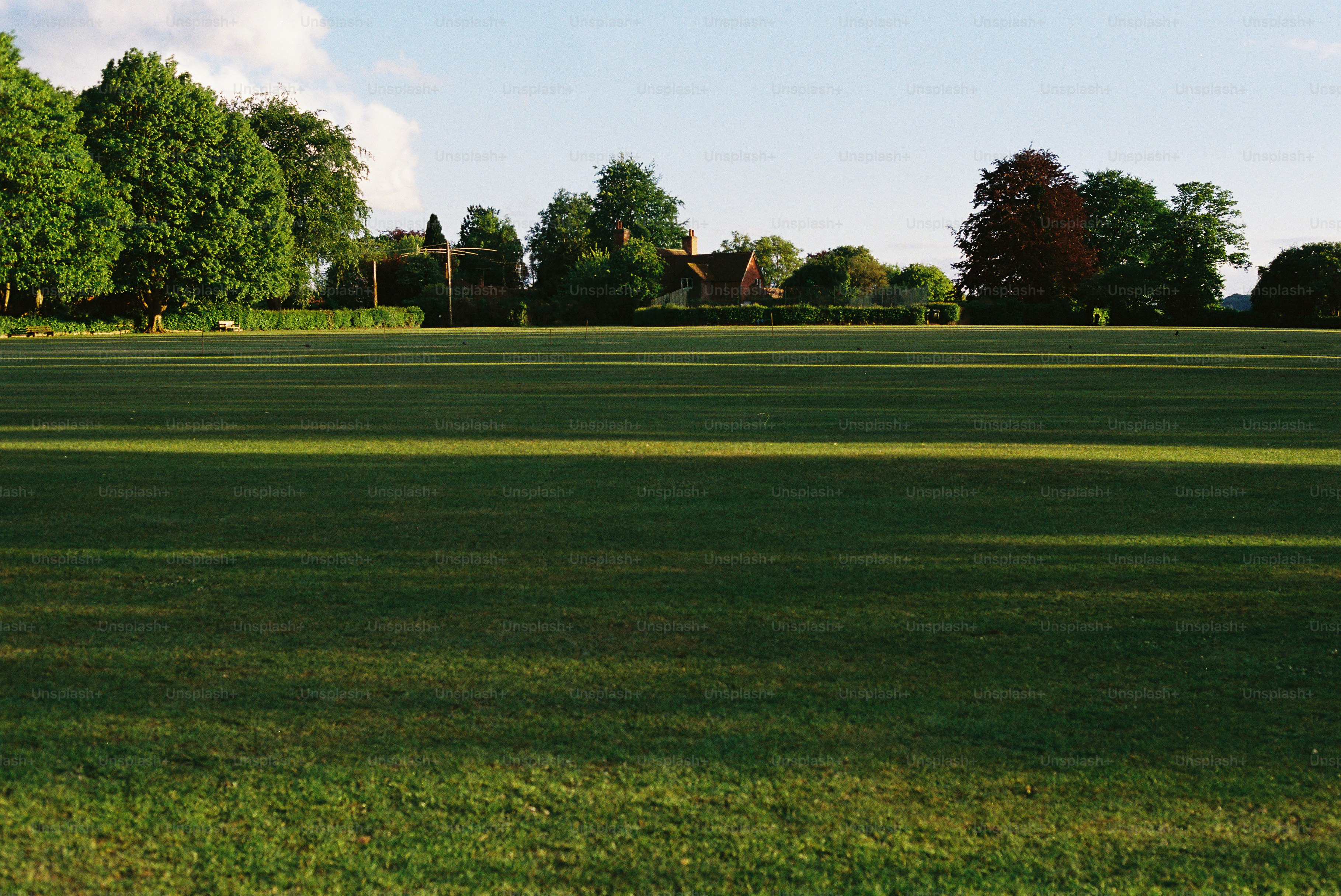 Sunny green field with distant trees and buildings