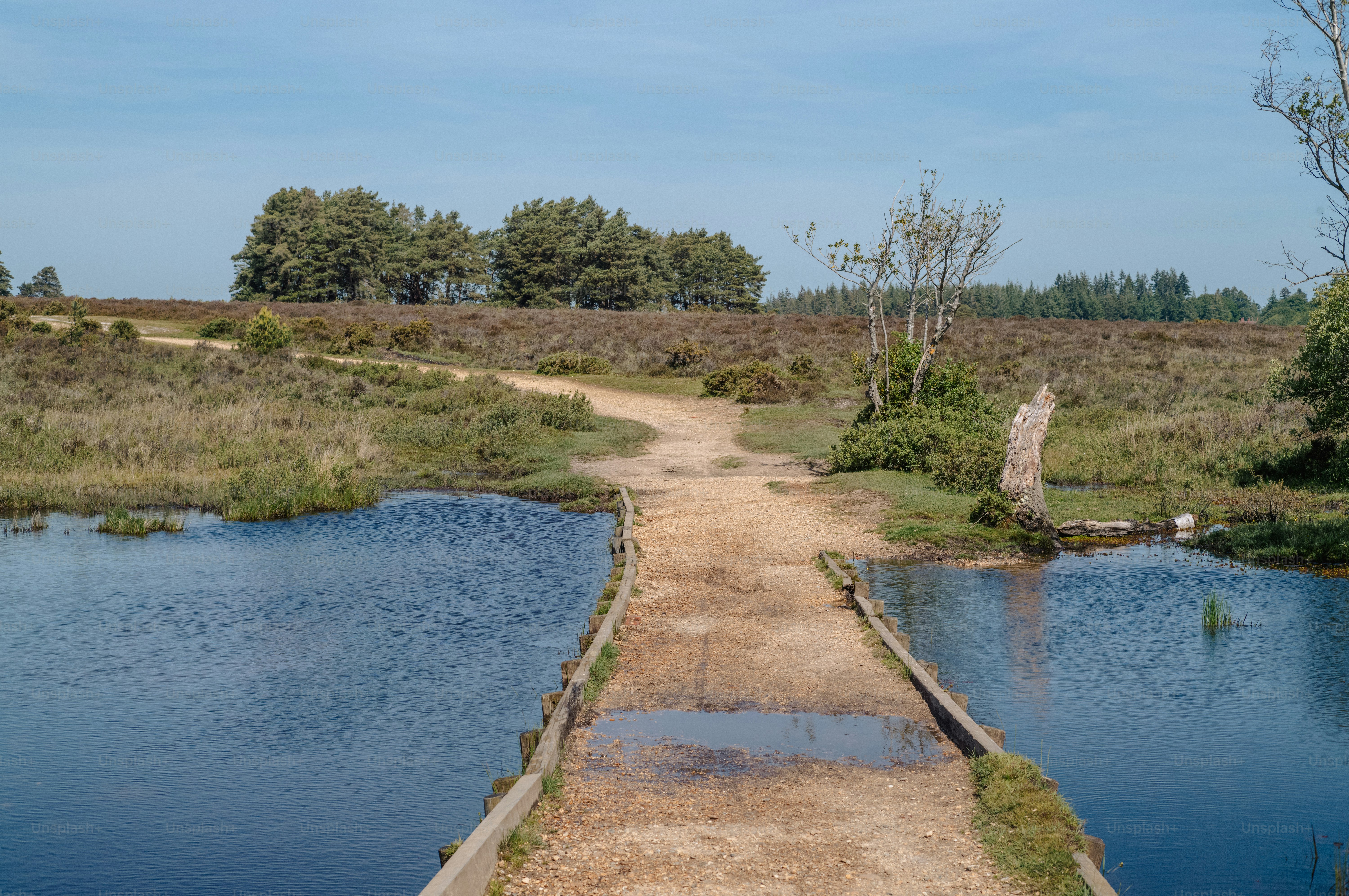 Un sendero de tierra cruza un vado de aguas poco profundas en un brezal.