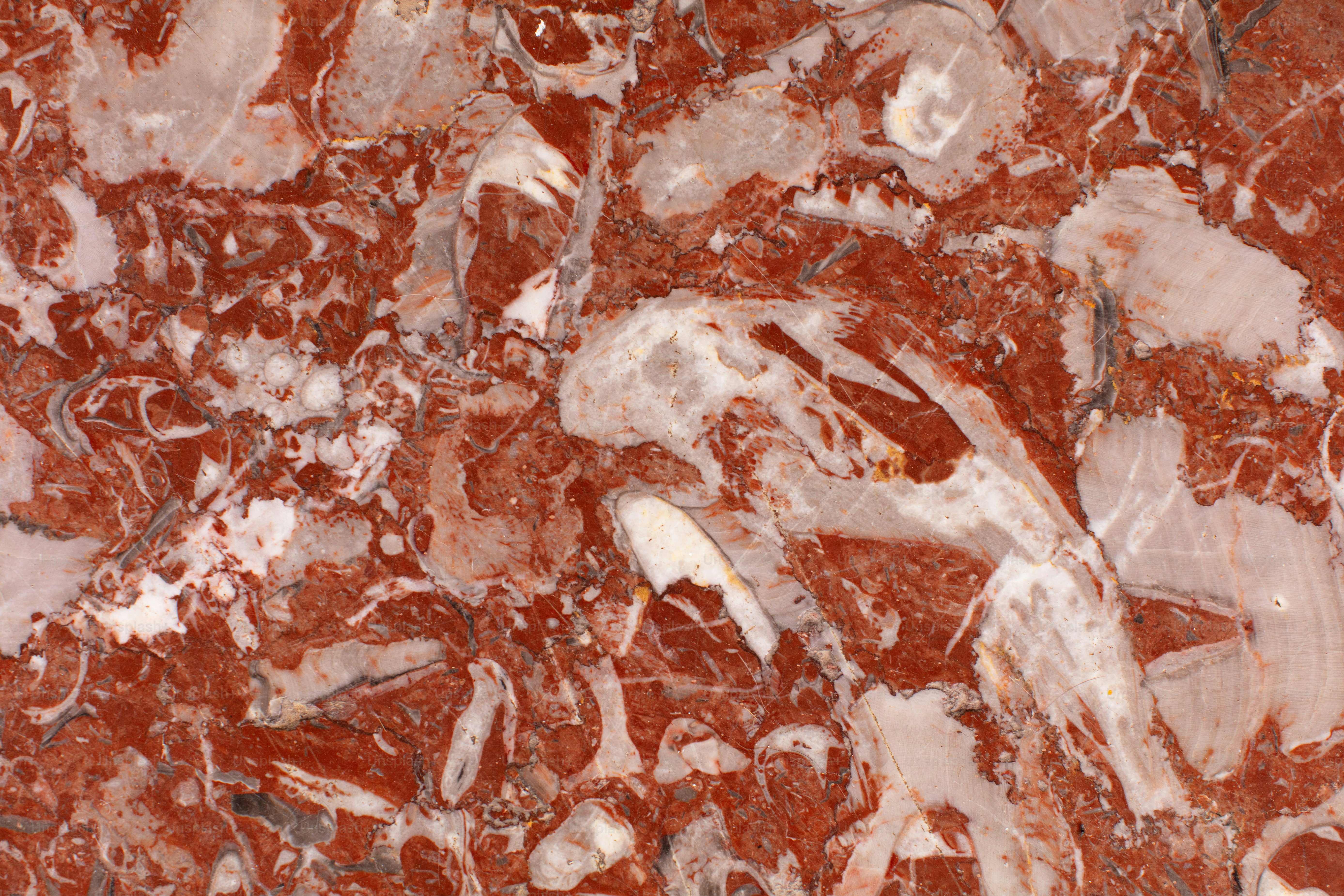 Red marble surface with white and grey fossil-like patterns