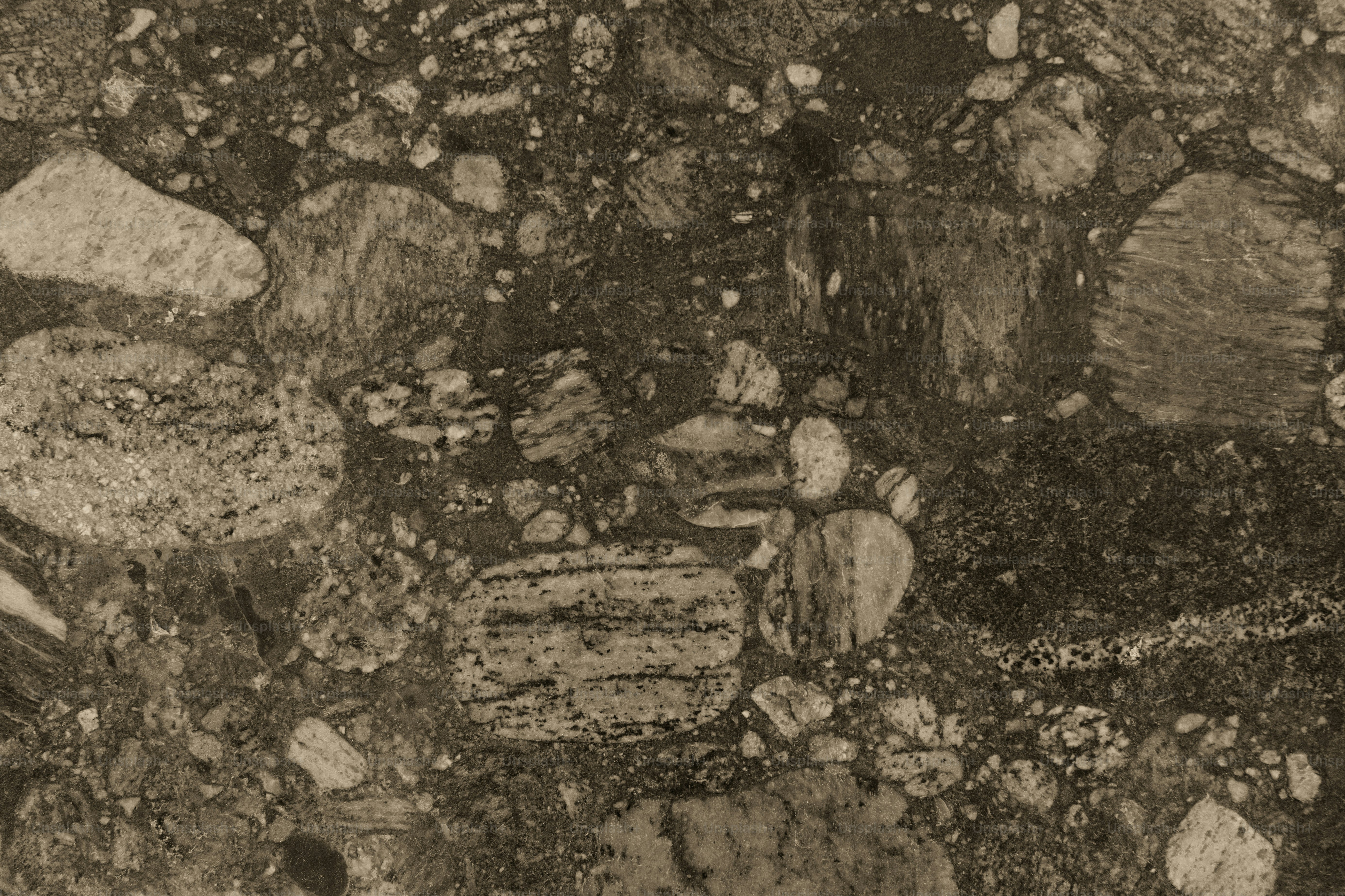 Superficie rocosa oscura y texturizada con piedras redondeadas incrustadas.