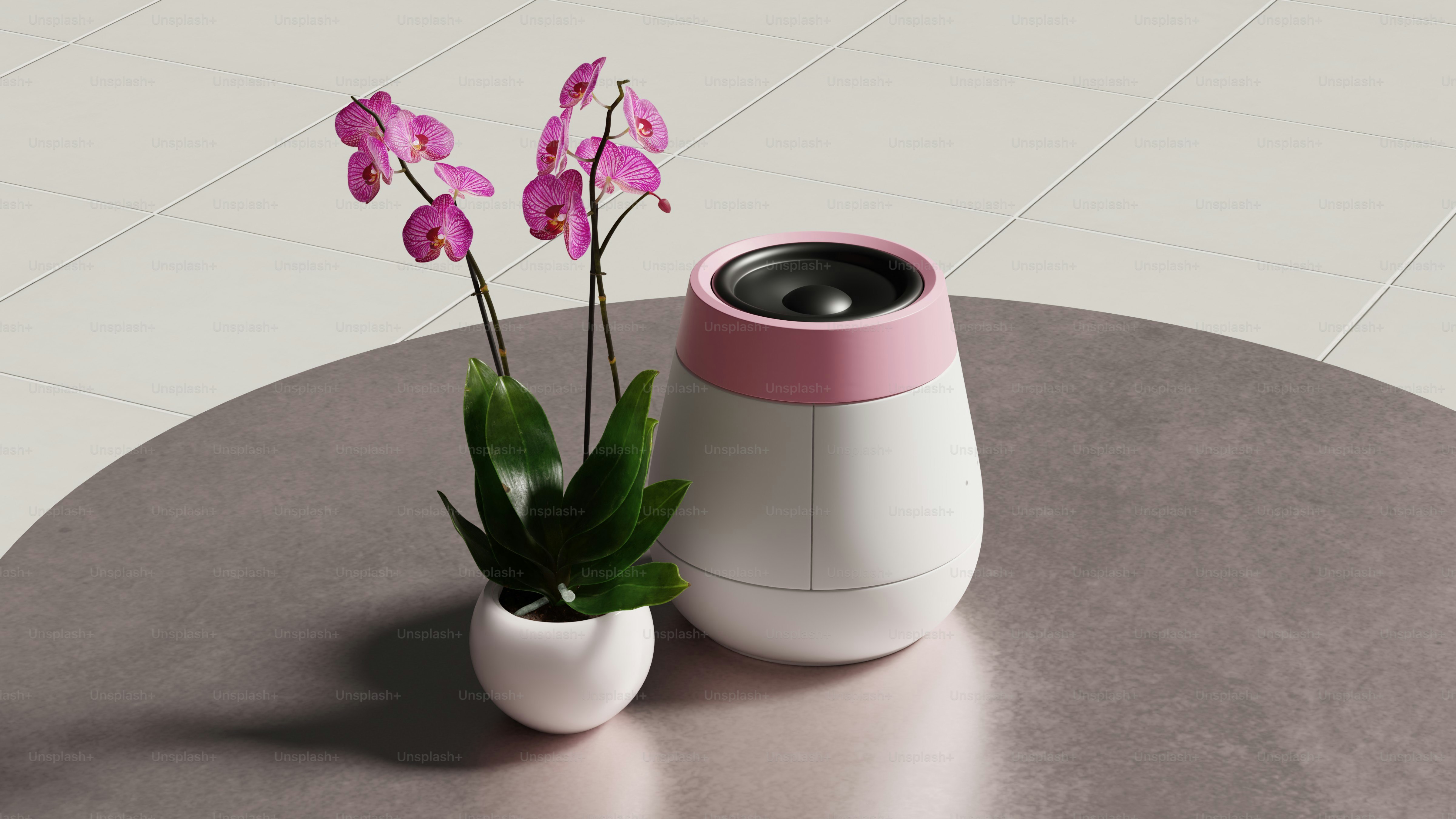 Planta orquídea y altavoz blanco sobre una mesa brillante.