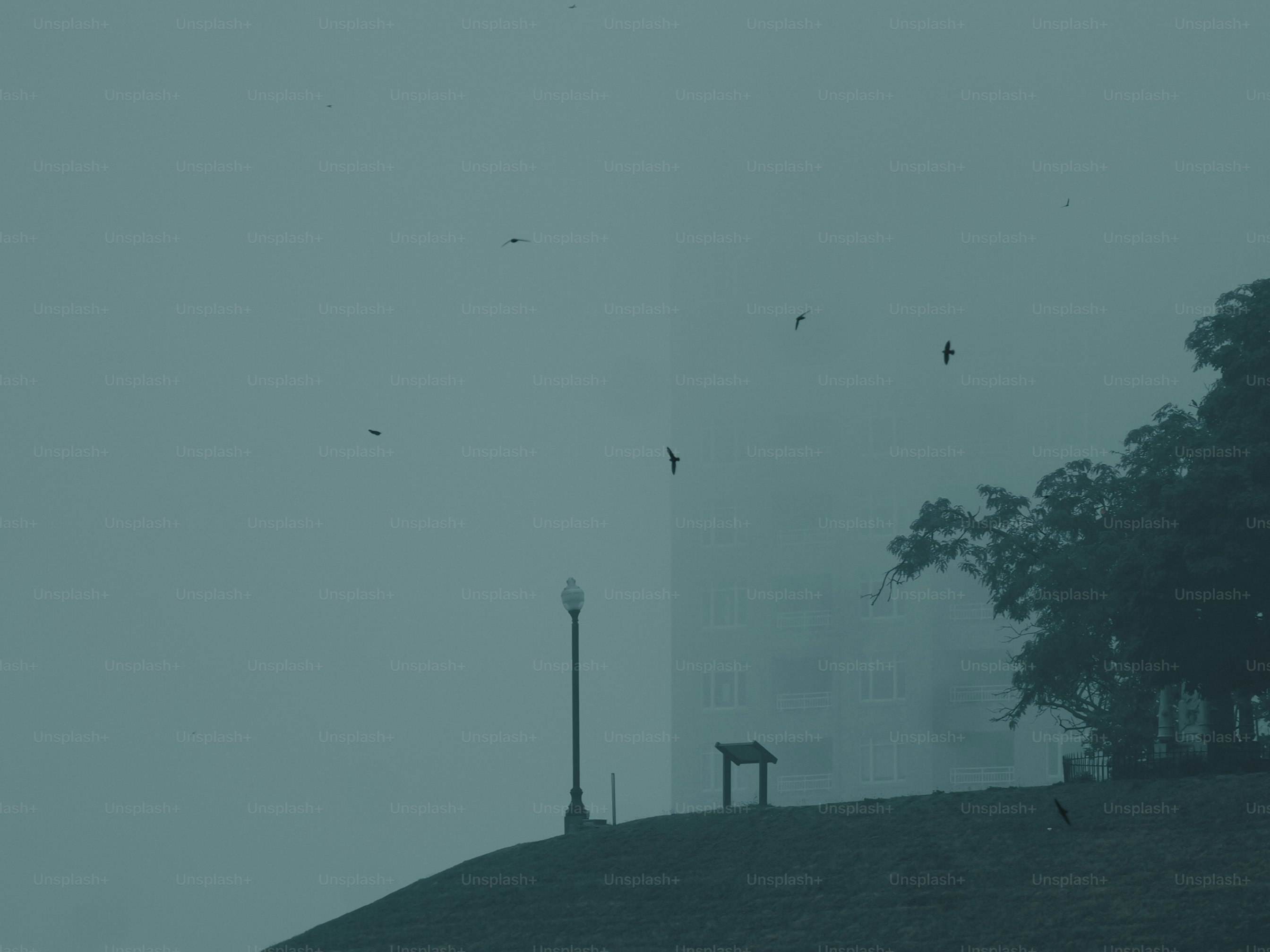 Birds fly over a foggy hill with a lamppost.