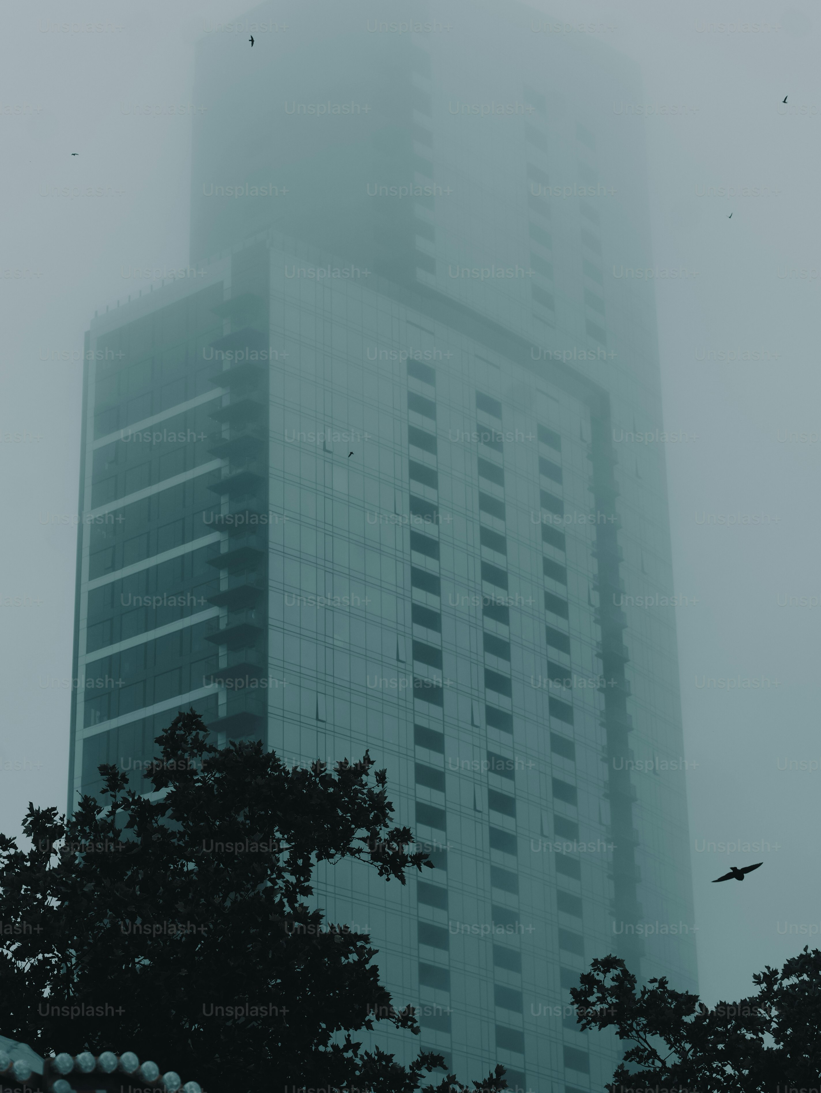 A tall building shrouded in dense mist with trees.