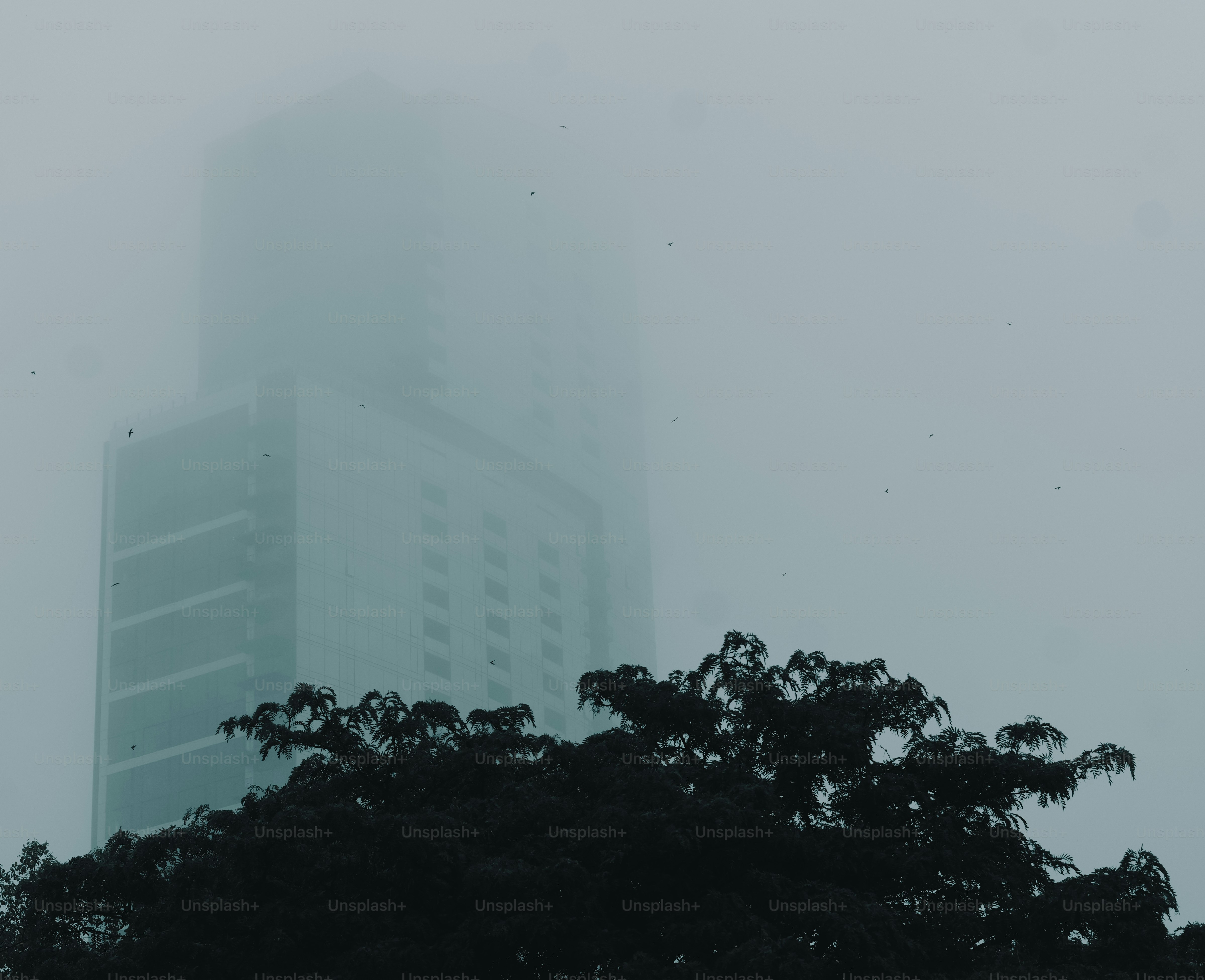 A tall building shrouded in dense fog with dark trees.